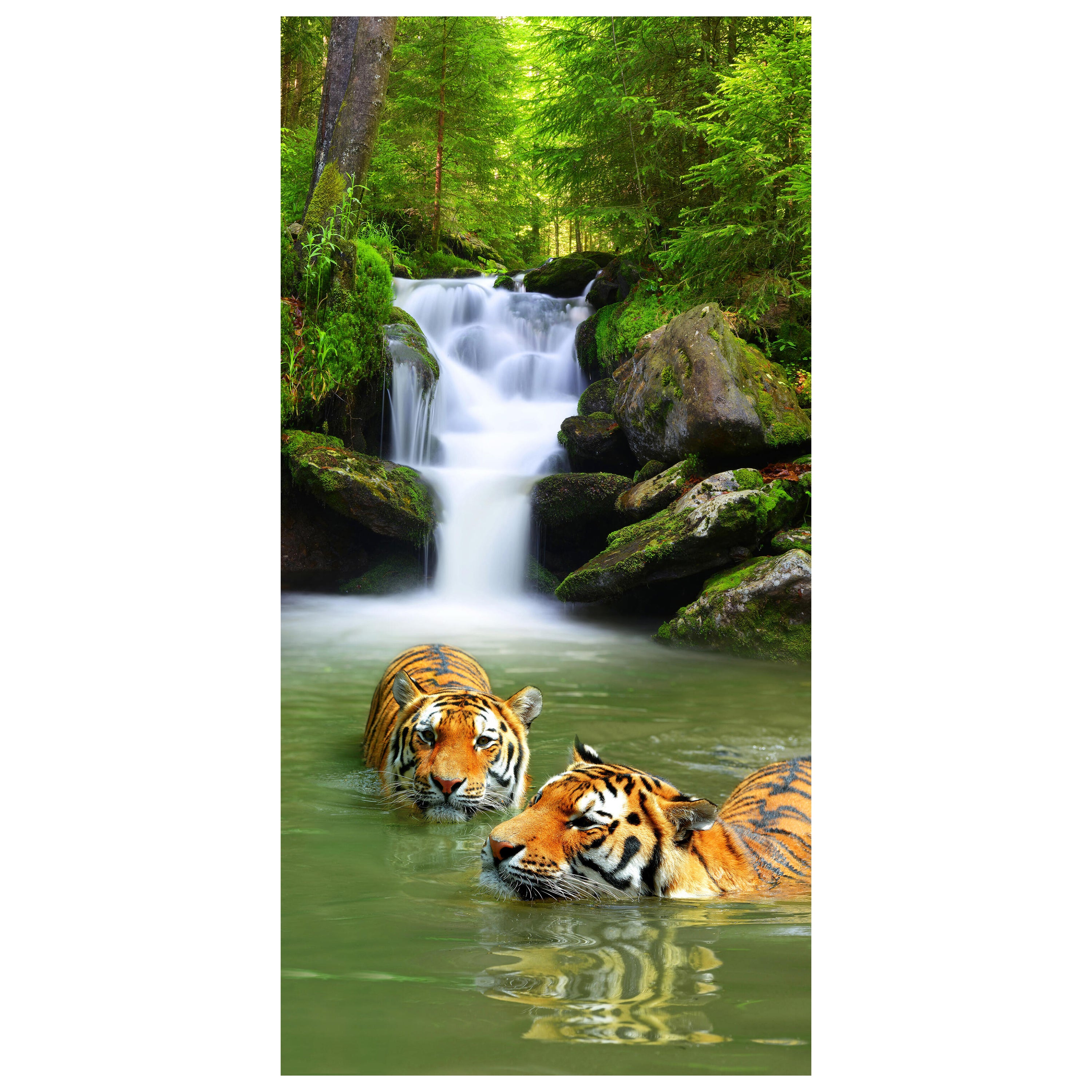 Türtapete badende Tiger, Wasserfall, Dschungel M1338 - Bild 2 Türtapete badende Tiger, Wasserfall, Dschungel M1338 - Bild 2