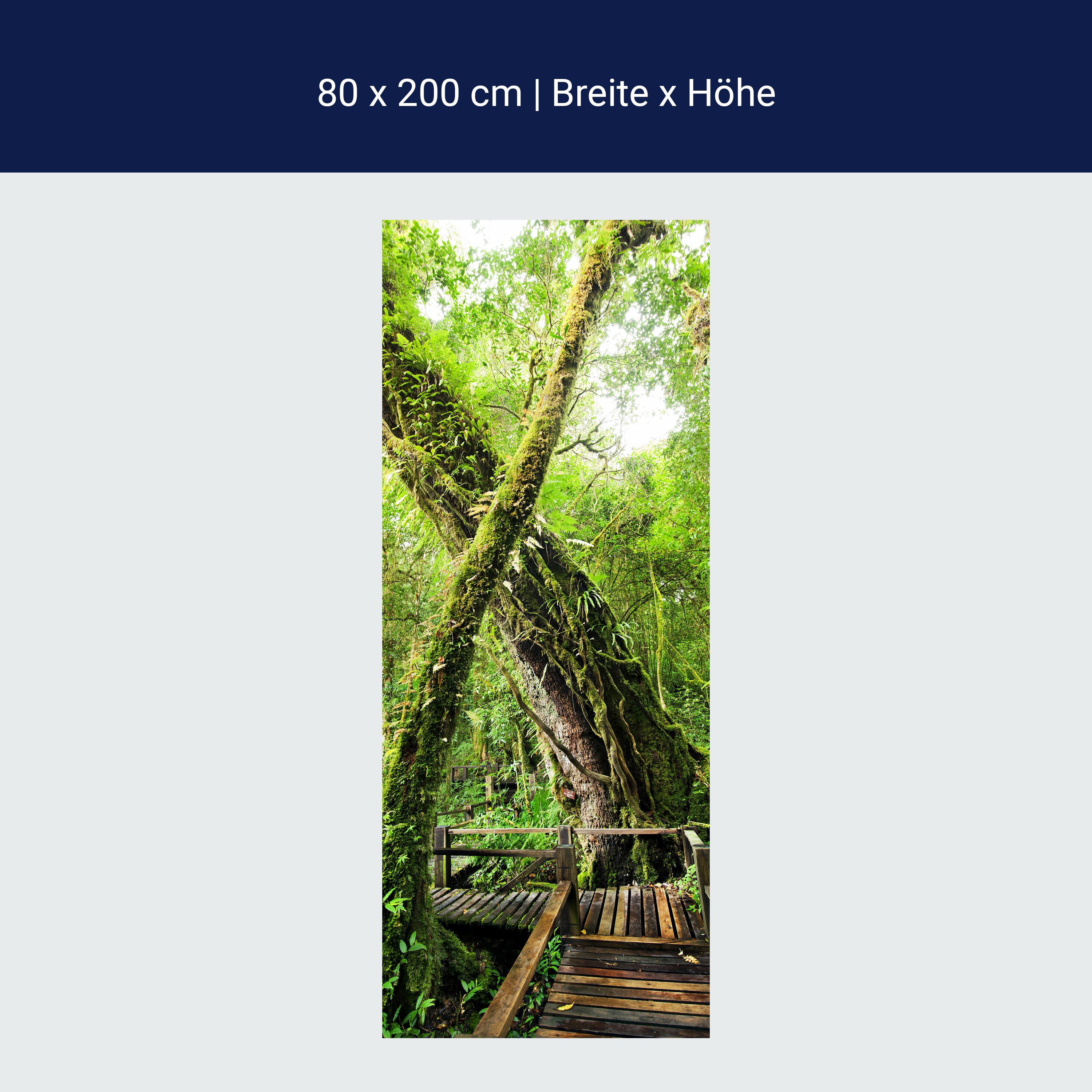 Türtapete Holzweg im Dschungel, Baum, Urwald M1341 Türtapete Holzweg im Dschungel, Baum, Urwald M1341