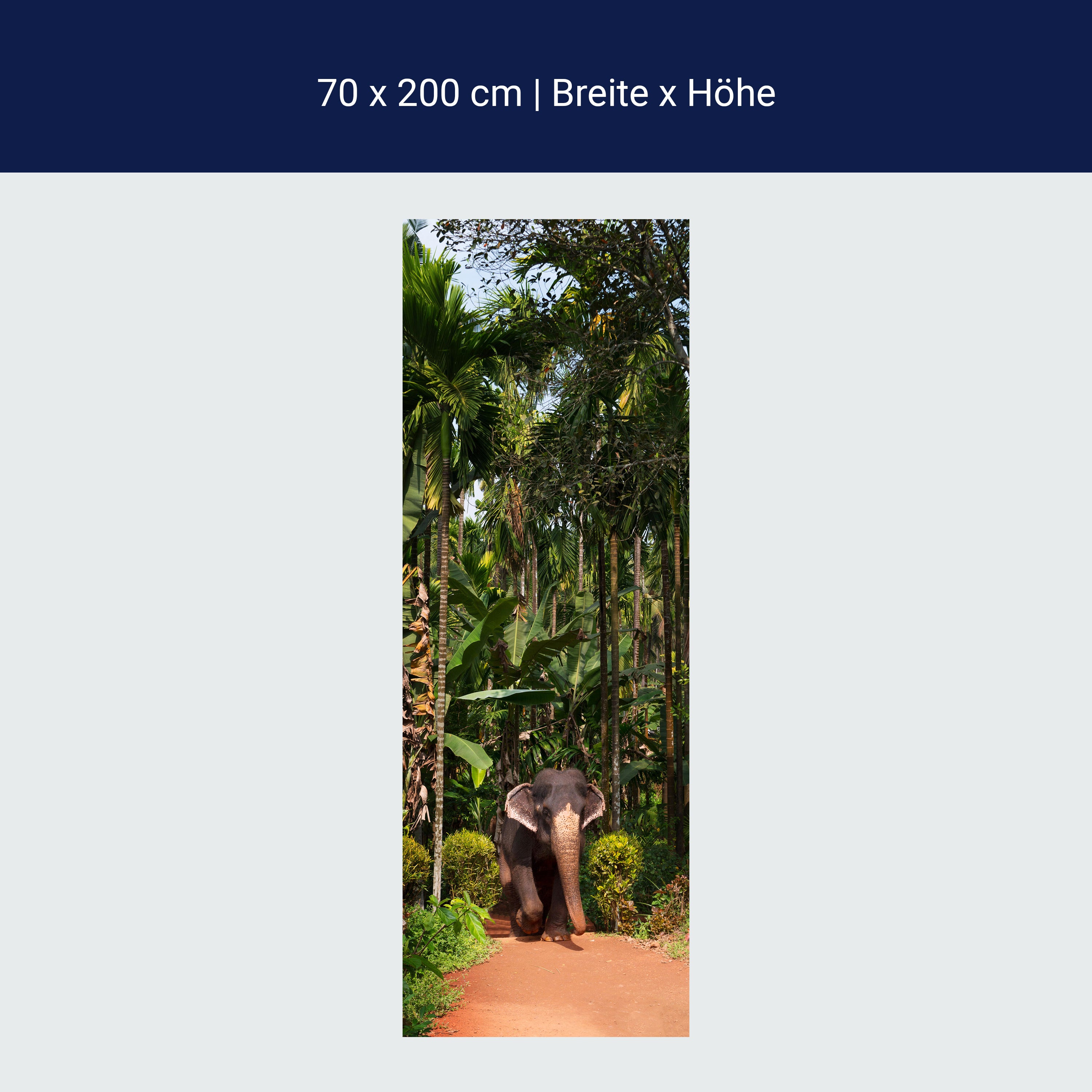 Türtapete Elefant unter Palmen, Tier, Palme, Wald M1343 Türtapete Elefant unter Palmen, Tier, Palme, Wald M1343