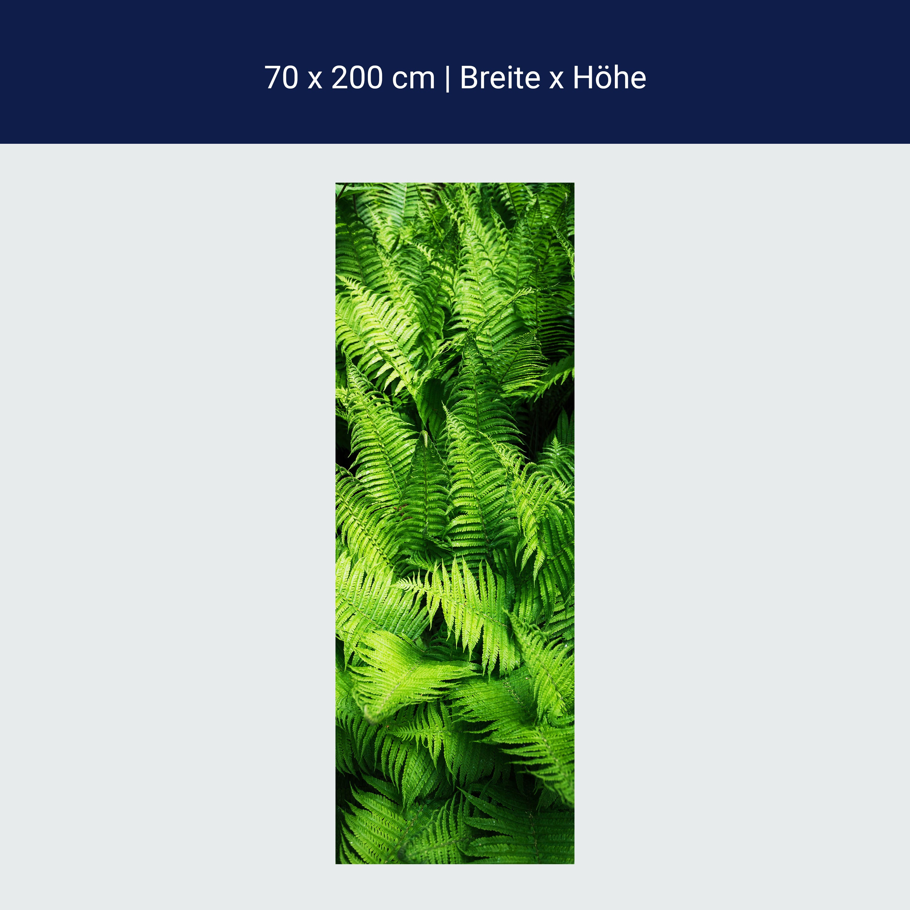 Türtapete Farne, Urwald, Pflanzen, Grün, Dschungel M1346 Türtapete Farne, Urwald, Pflanzen, Grün, Dschungel M1346