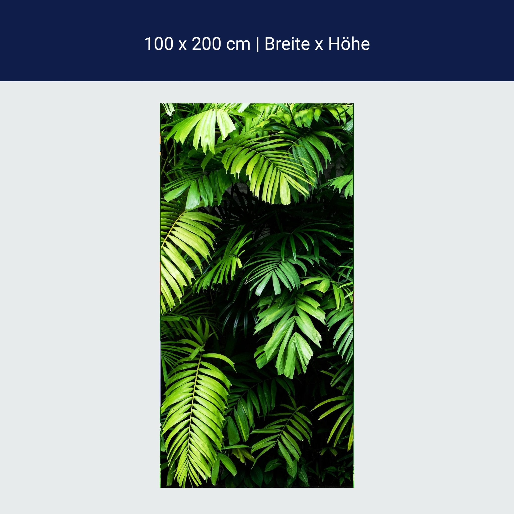 Türtapete Palmen Blätter, Wedel, Dschungel, Wald M1348 Türtapete Palmen Blätter, Wedel, Dschungel, Wald M1348