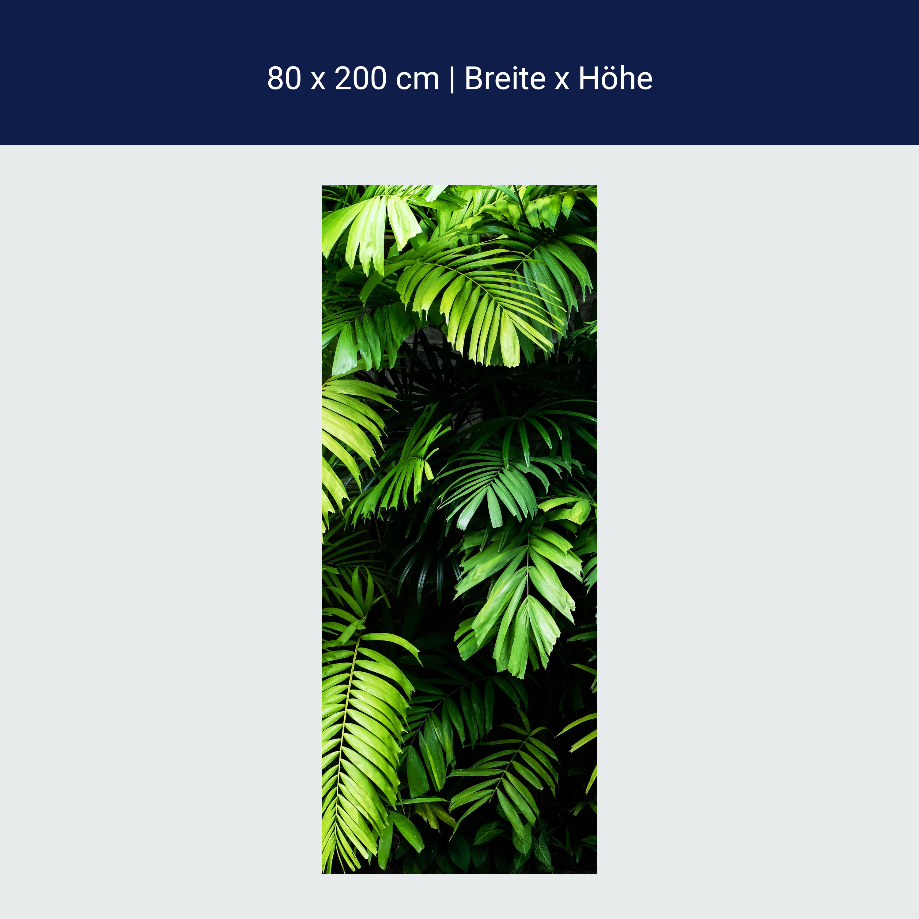 Türtapete Palmen Blätter, Wedel, Dschungel, Wald M1348 Türtapete Palmen Blätter, Wedel, Dschungel, Wald M1348