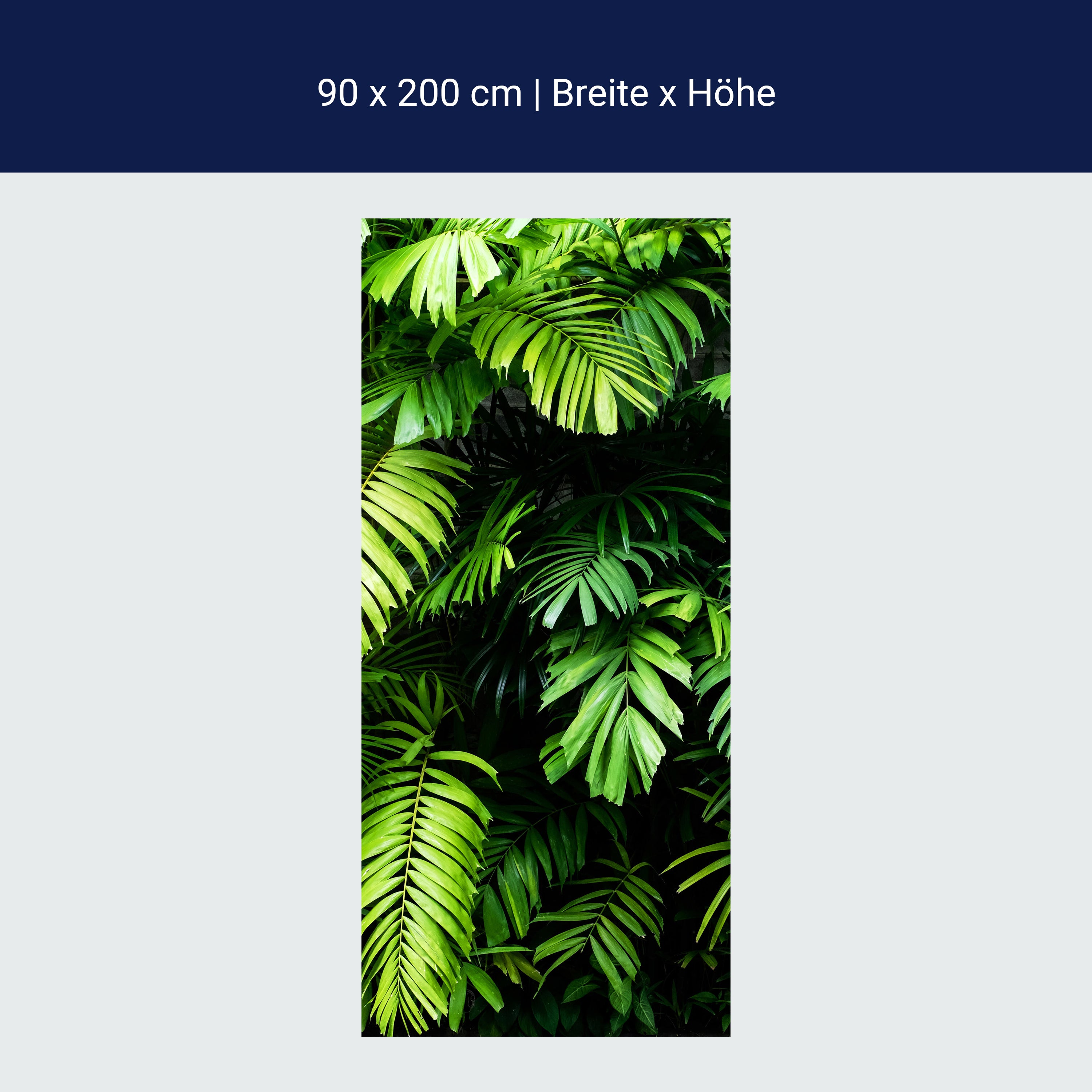 Türtapete Palmen Blätter, Wedel, Dschungel, Wald M1348 Türtapete Palmen Blätter, Wedel, Dschungel, Wald M1348