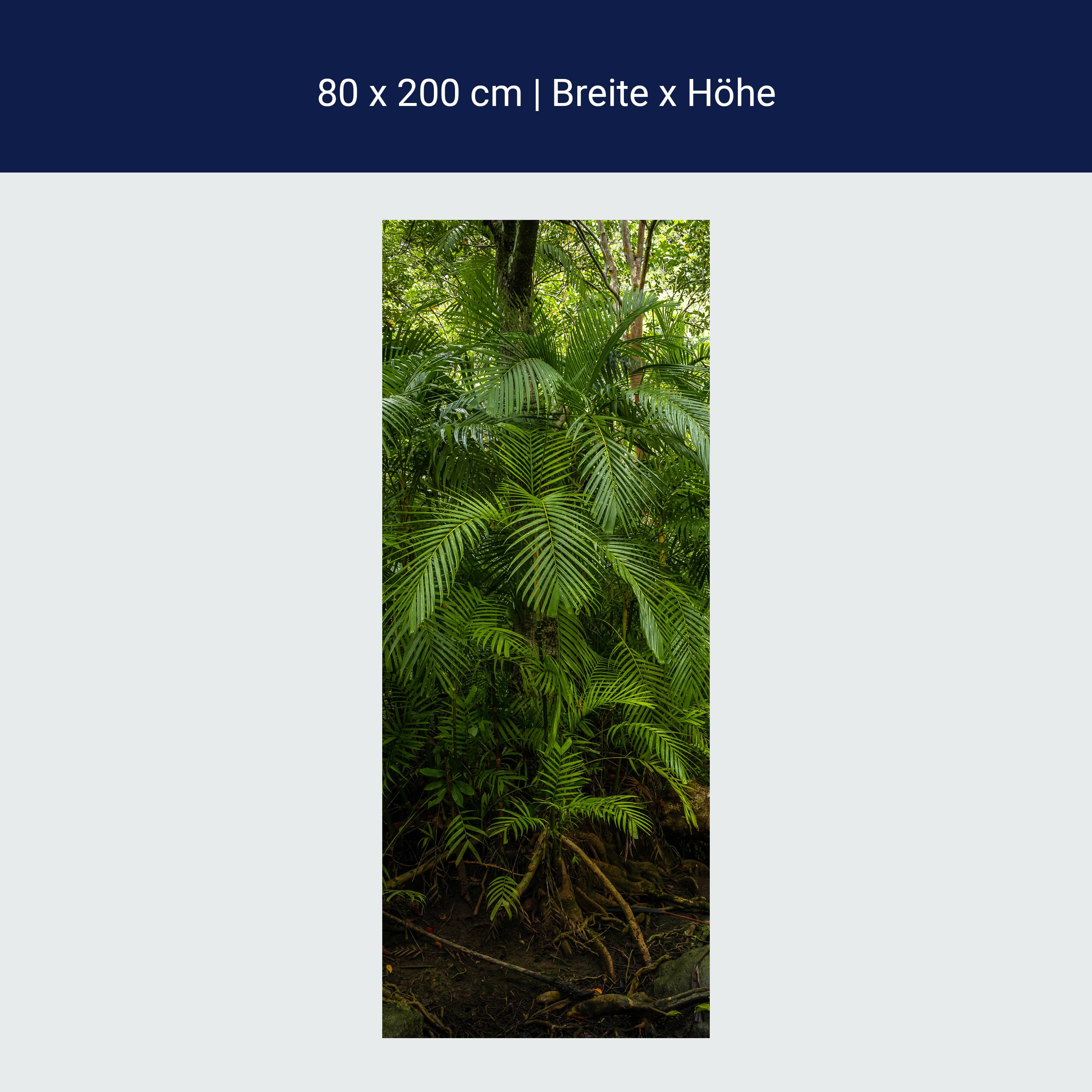 Türtapete Palmenwedel, Dschungel, Palme, Urwald M1354 Türtapete Palmenwedel, Dschungel, Palme, Urwald M1354