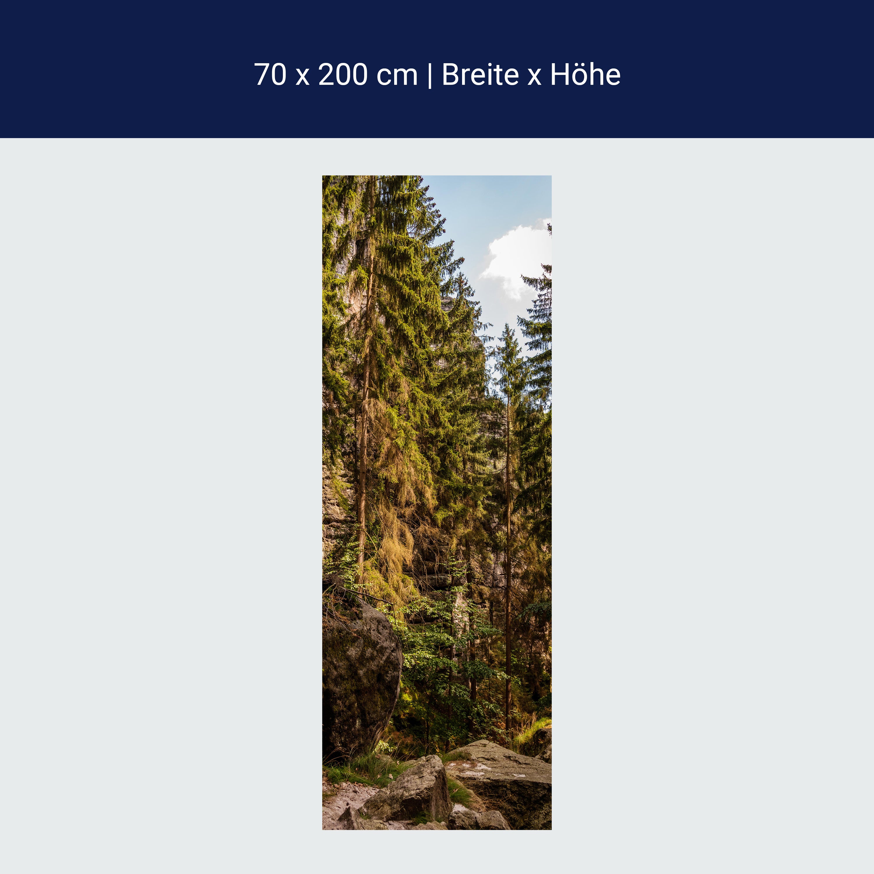 Türtapete Nadelwald & Felsen, Bäume, Wald, Natur M1392 Türtapete Nadelwald & Felsen, Bäume, Wald, Natur M1392