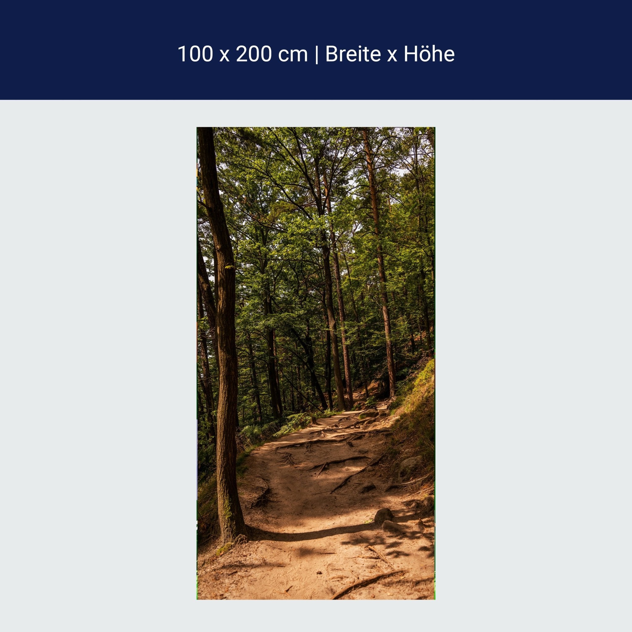 Türtapete Wanderweg im Wald, Wurzeln, Bäume, Natur M1394 Türtapete Wanderweg im Wald, Wurzeln, Bäume, Natur M1394