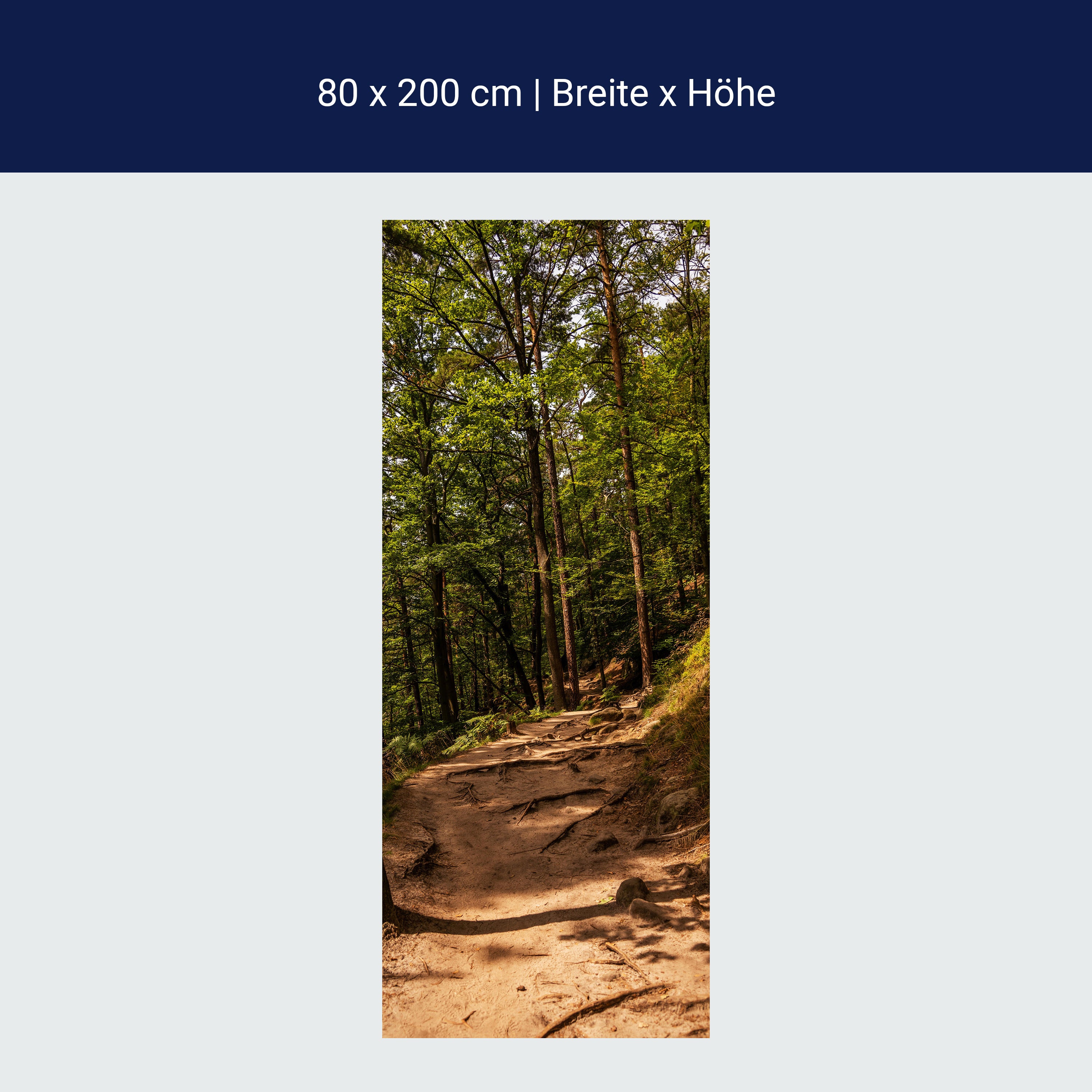 Türtapete Wanderweg im Wald, Wurzeln, Bäume, Natur M1394 Türtapete Wanderweg im Wald, Wurzeln, Bäume, Natur M1394