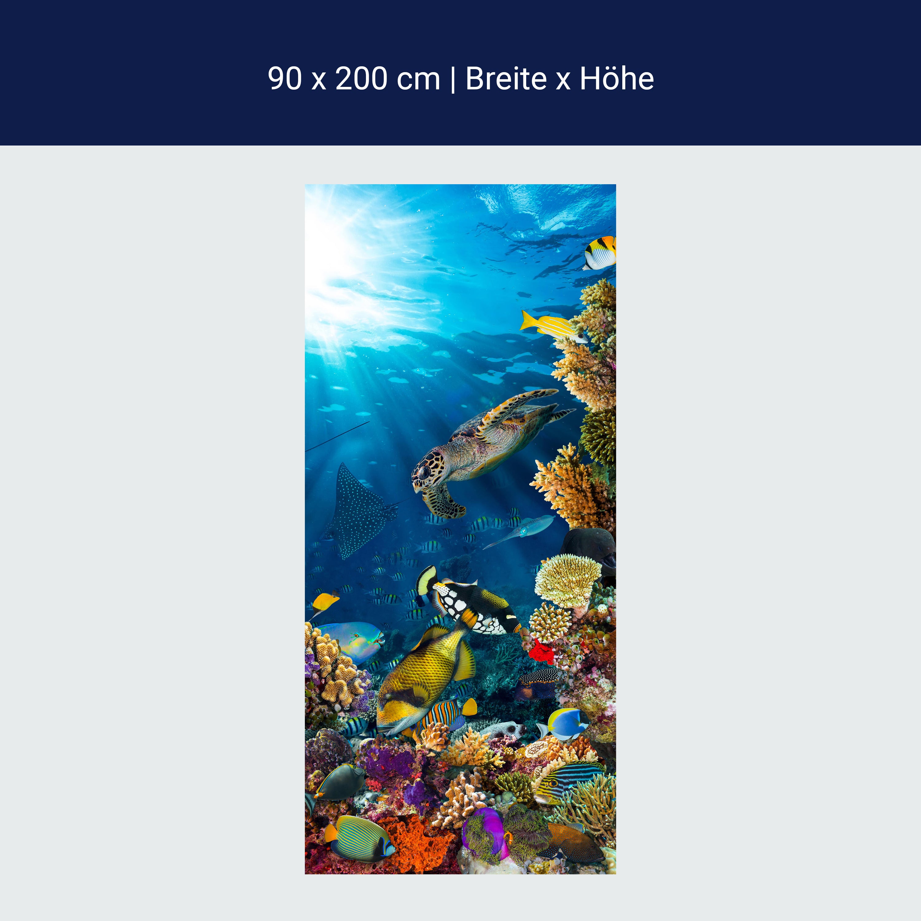 Türtapete Unterwasser Meer Korallen Fische M1406 Türtapete Unterwasser Meer Korallen Fische M1406