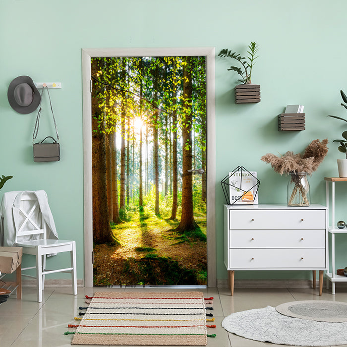 Türtapete Wald, Bäume, Lichtung M1422 - Bild 1 Türtapete Wald, Bäume, Lichtung M1422 - Bild 1