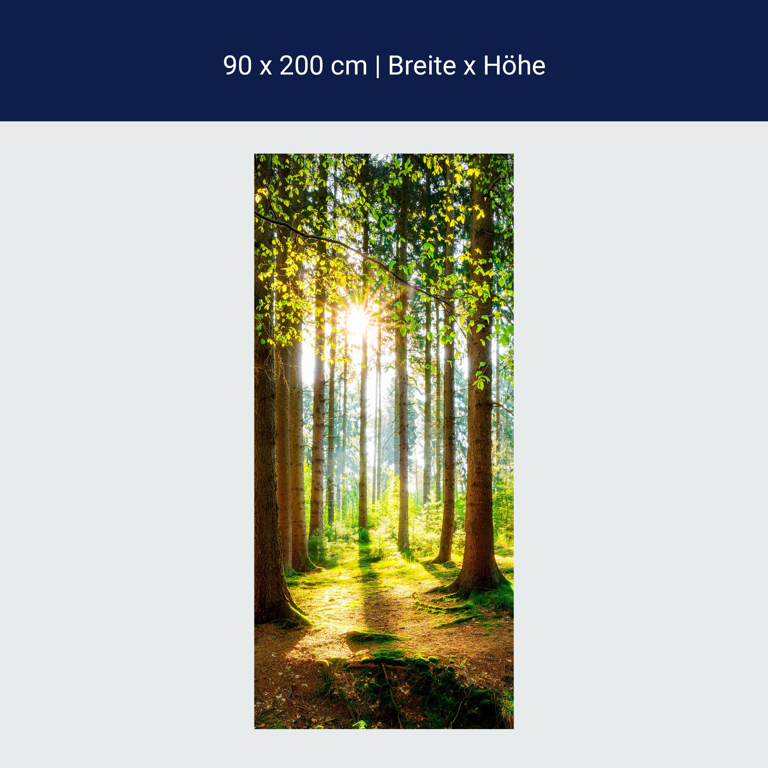 Türtapete Wald, Bäume, Lichtung M1422 Türtapete Wald, Bäume, Lichtung M1422