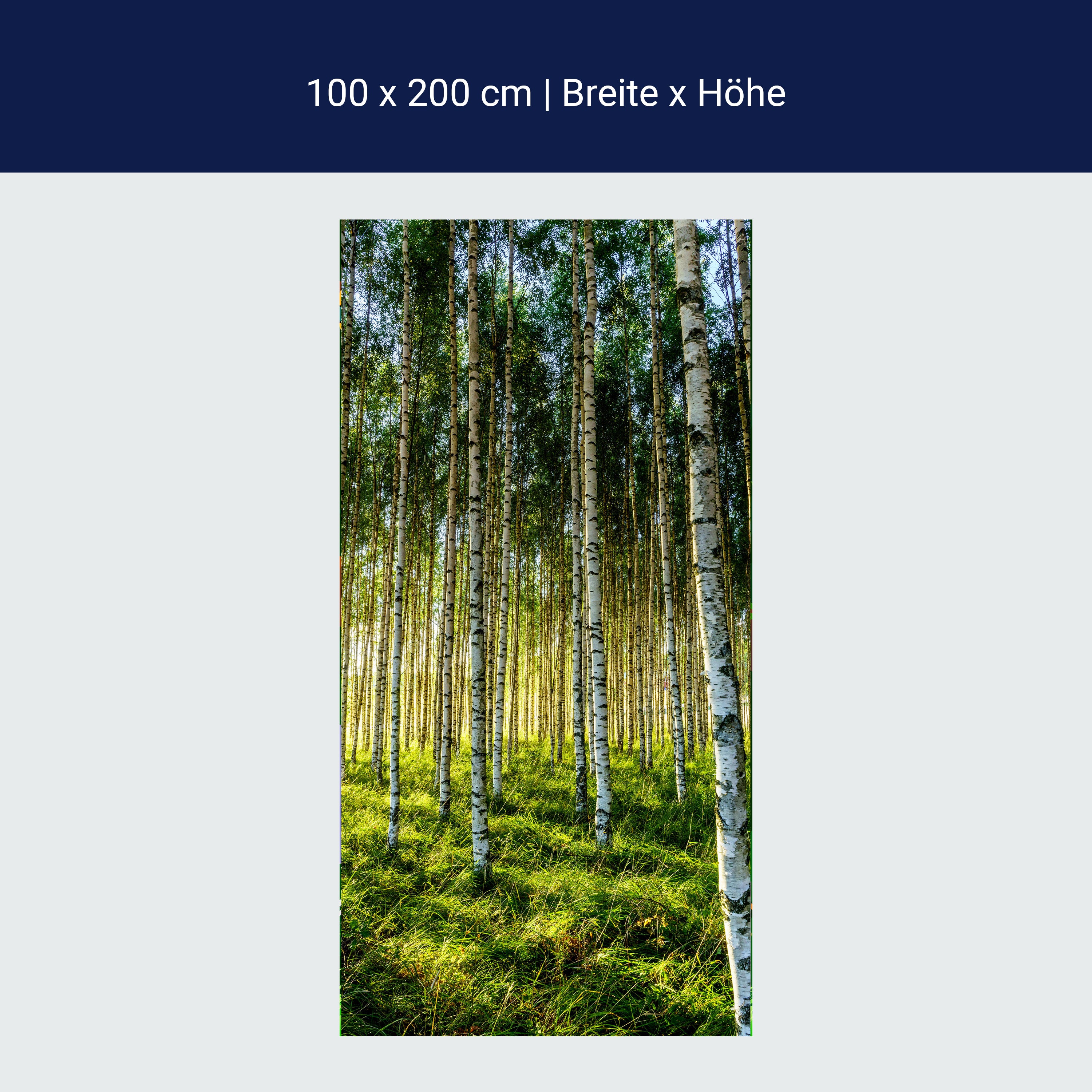 Türtapete Wald, Birken, Wiese, Bäume M1424 Türtapete Wald, Birken, Wiese, Bäume M1424