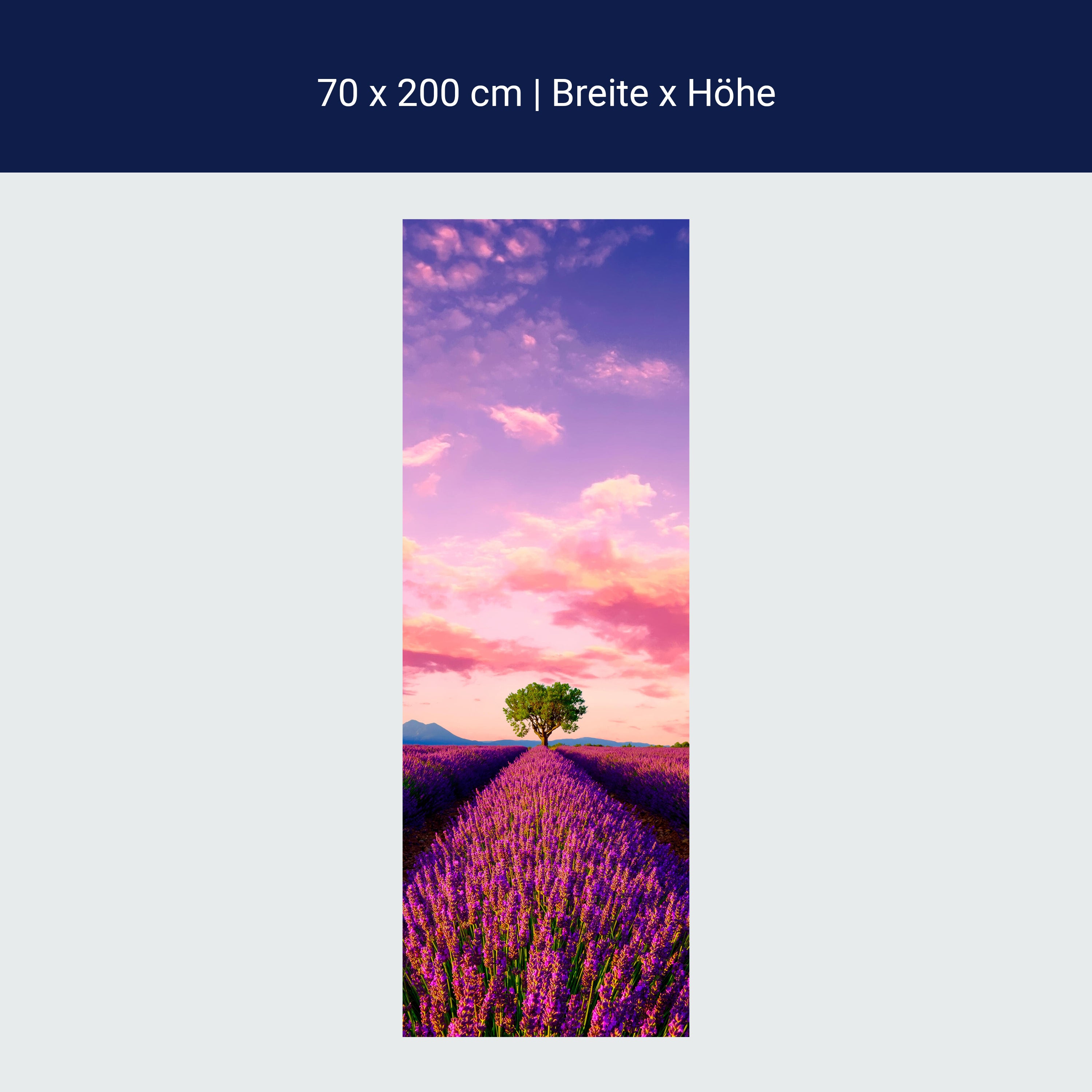 Türtapete Lavendel, Feld, Baum, Landschaft M1430 Türtapete Lavendel, Feld, Baum, Landschaft M1430