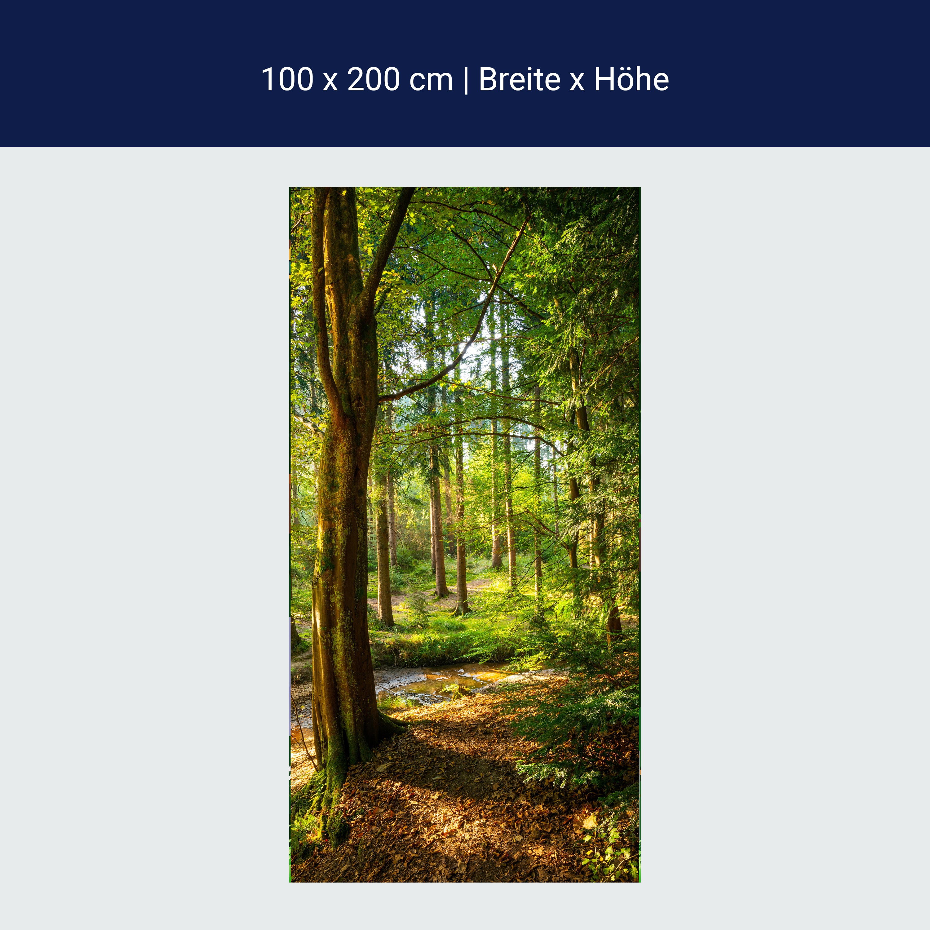 Türtapete Wald, Lichtung, Bäume, Fluss M1436 Türtapete Wald, Lichtung, Bäume, Fluss M1436