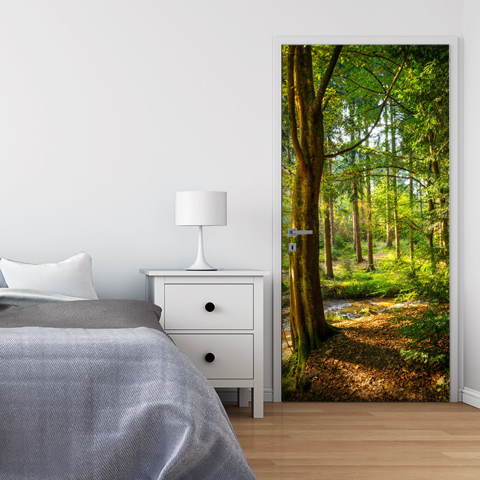 Türtapete Wald, Lichtung, Bäume, Fluss M1436 - Bild 1 Türtapete Wald, Lichtung, Bäume, Fluss M1436 - Bild 1