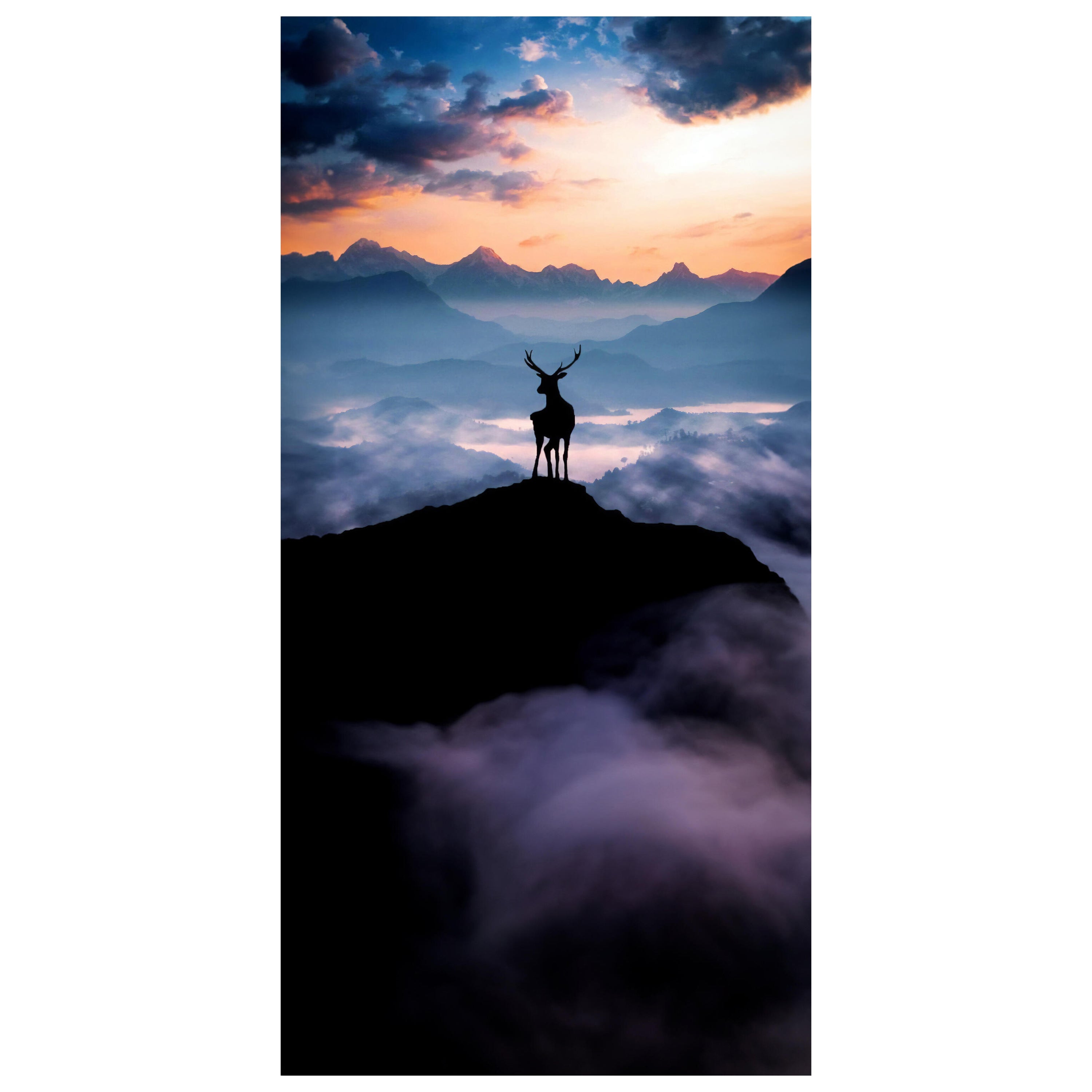 Türtapete Hirsch, Silhouette, Berge M1459 - Bild 2 Türtapete Hirsch, Silhouette, Berge M1459 - Bild 2