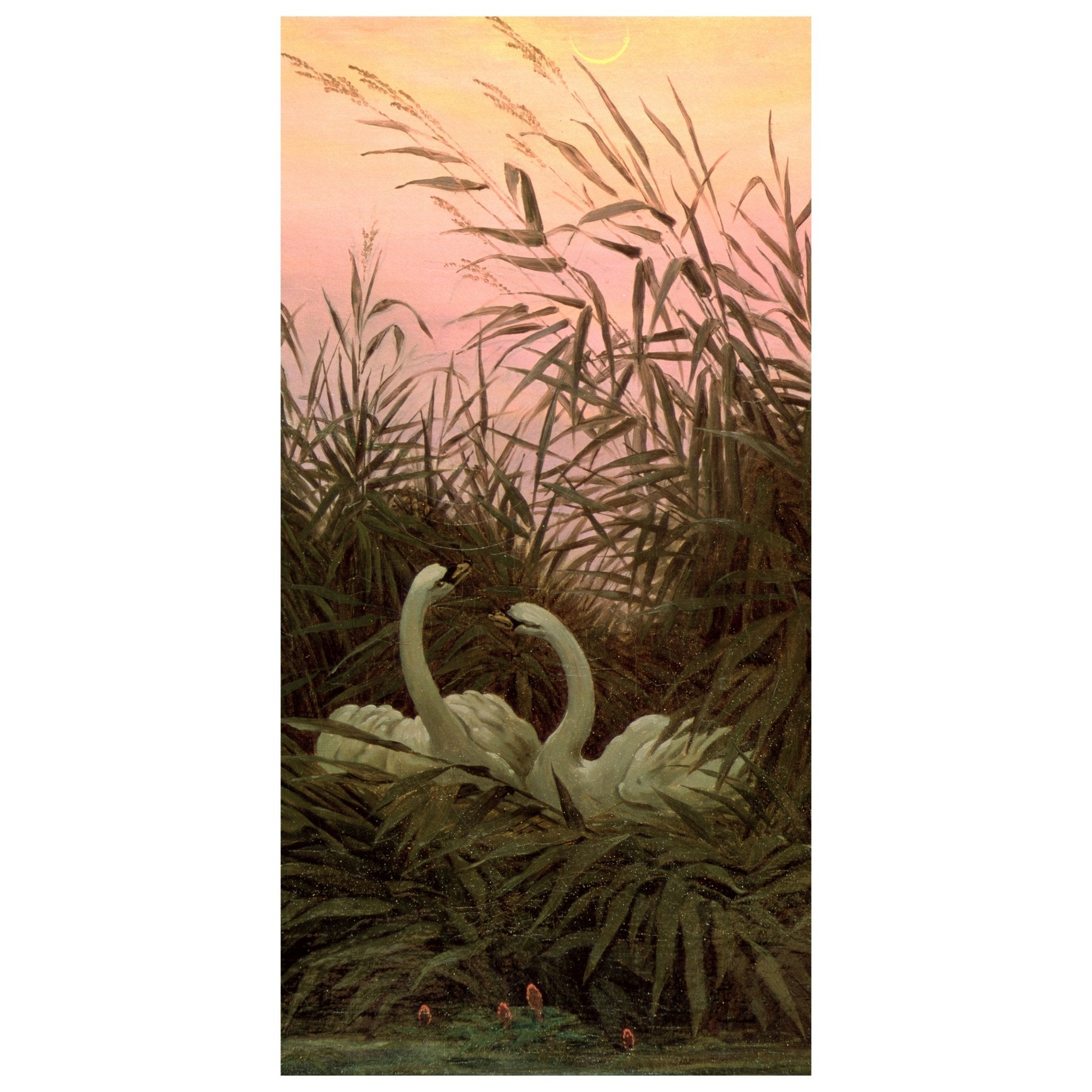 Türtapete Schwäne im Schilf Caspar David Friedrich M1546 - Bild 2 Türtapete Schwäne im Schilf Caspar David Friedrich M1546 - Bild 2