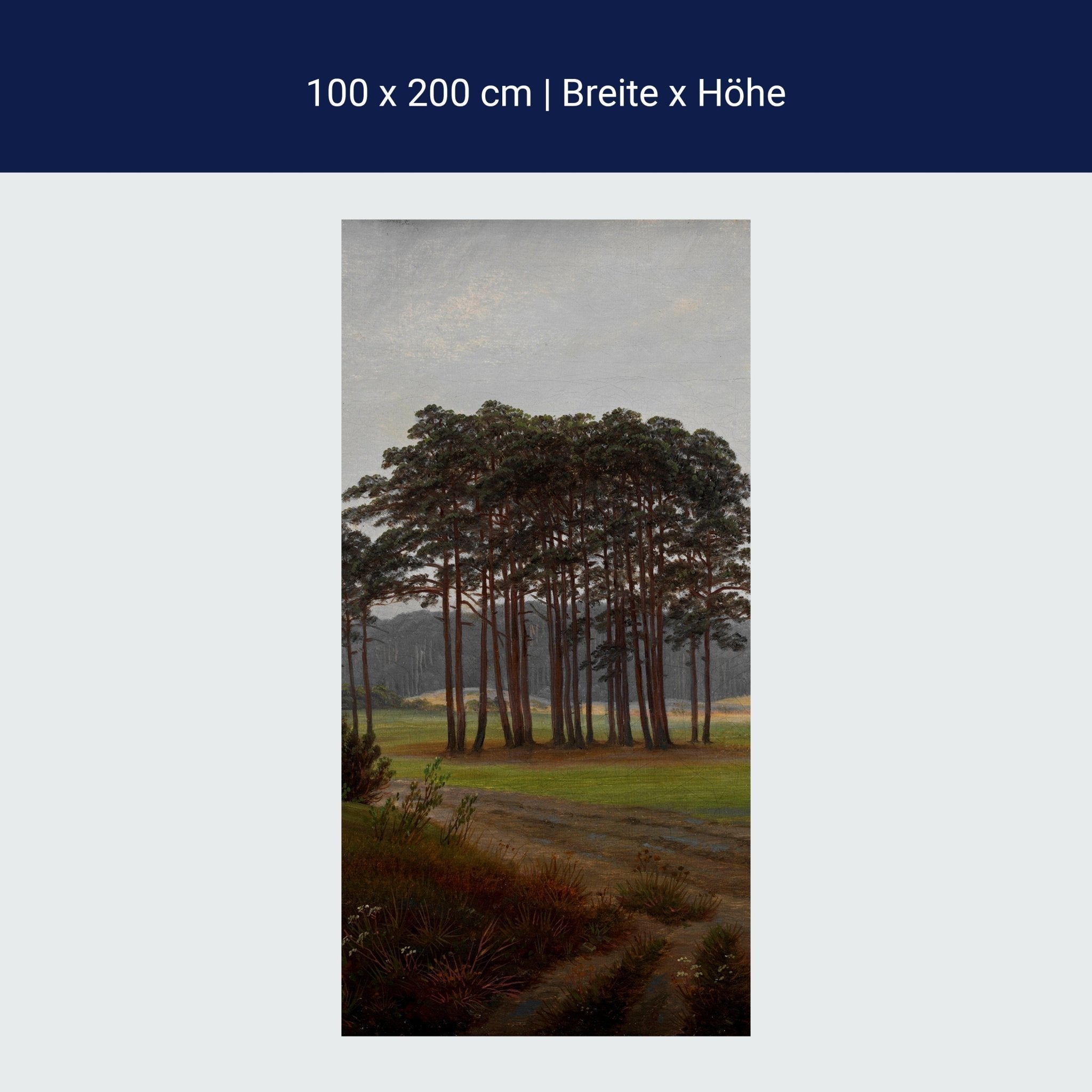 Türtapete Morgen Waldwiese Caspar David Friedrich M1547 Türtapete Morgen Waldwiese Caspar David Friedrich M1547