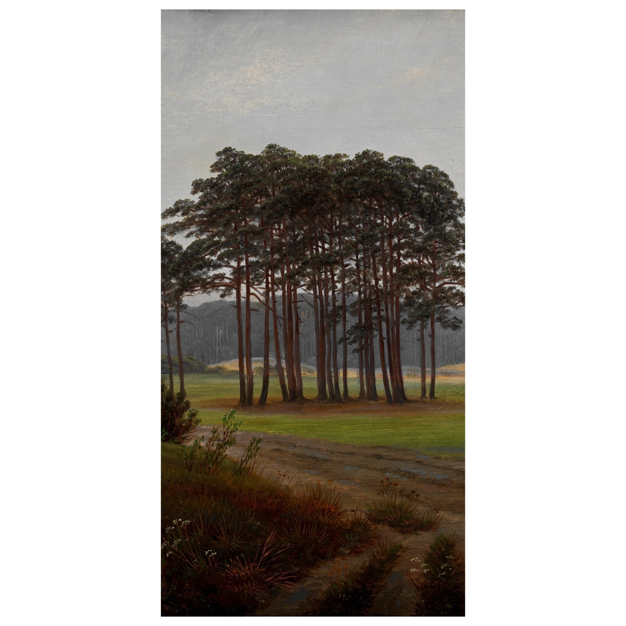 Türtapete Morgen Waldwiese Caspar David Friedrich M1547 - Bild 2 Türtapete Morgen Waldwiese Caspar David Friedrich M1547 - Bild 2