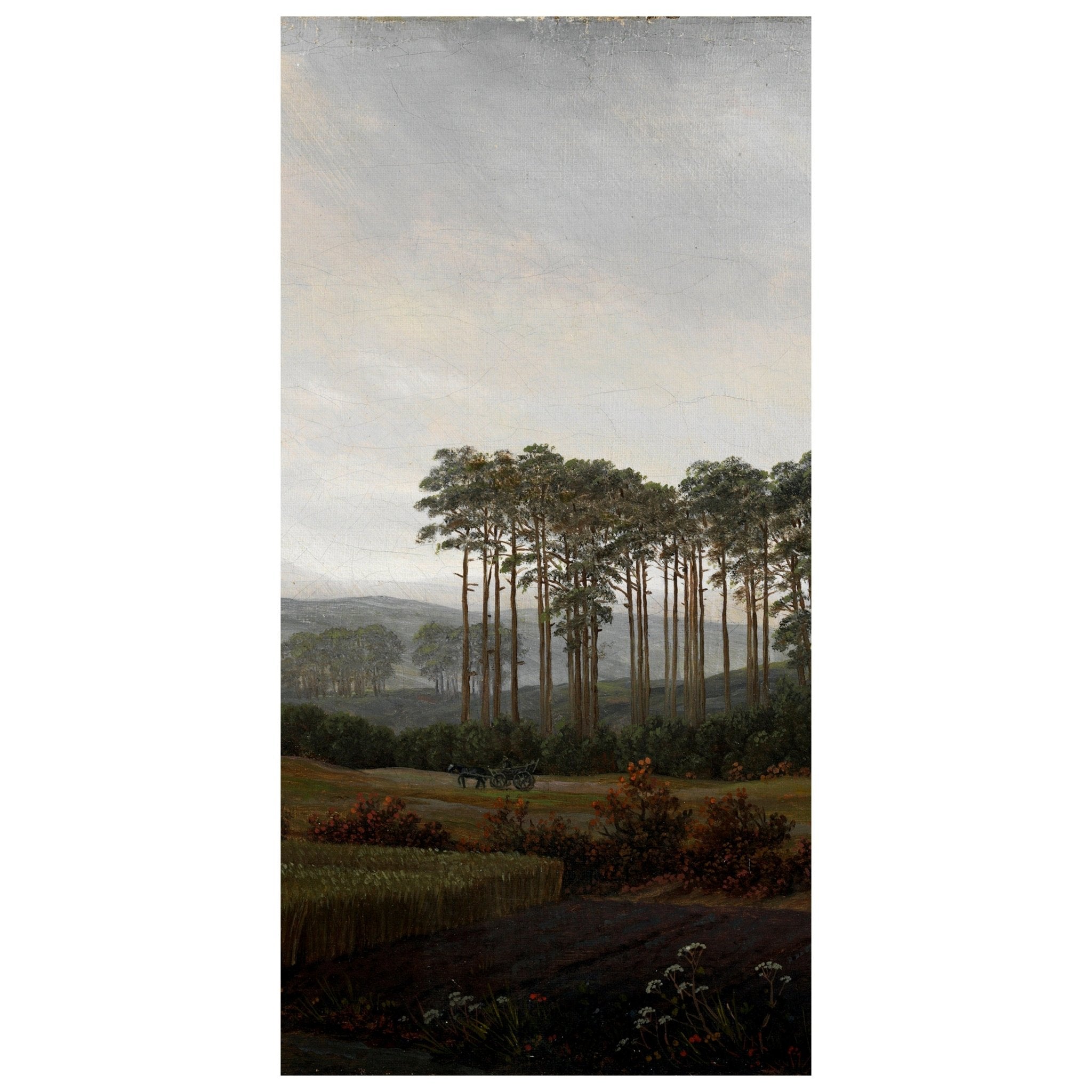 Türtapete Baumgruppe Caspar David Friedrich M1548 - Bild 2 Türtapete Baumgruppe Caspar David Friedrich M1548 - Bild 2