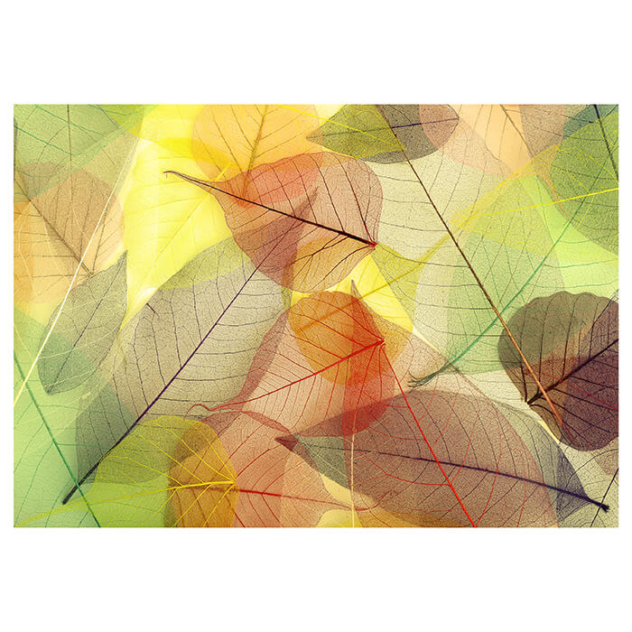 Fototapete Gelb Rot Blätter M2091 - Bild 2 Fototapete Gelb Rot Blätter M2091 - Bild 2