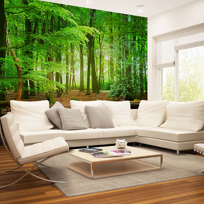 Fototapete Wald Sommer Natur M5667 - Bild 1 Fototapete Wald Sommer Natur M5667 - Bild 1