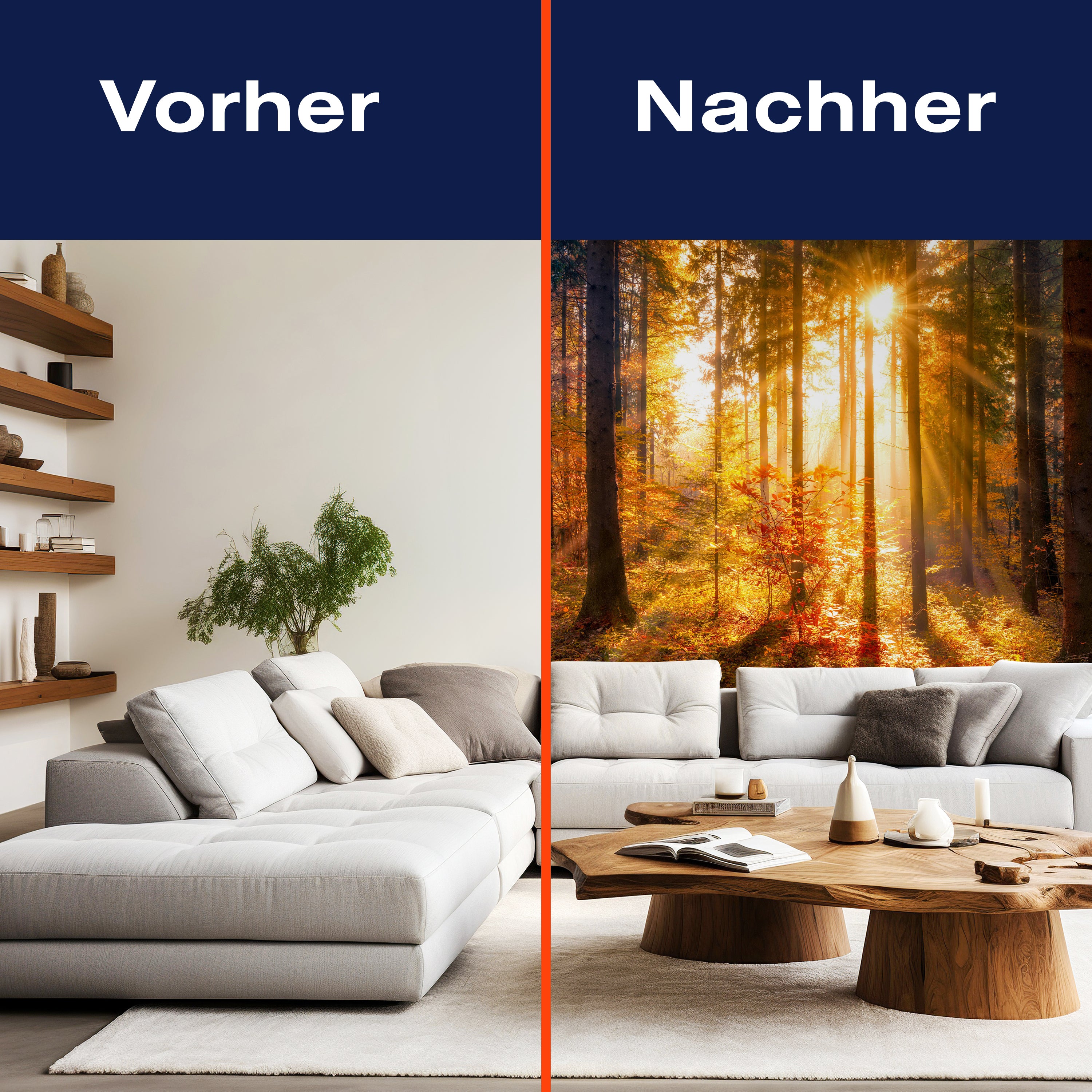 Fototapete Sonne Herbst Bäume M5672 - Bild 9 Fototapete Sonne Herbst Bäume M5672 - Bild 9