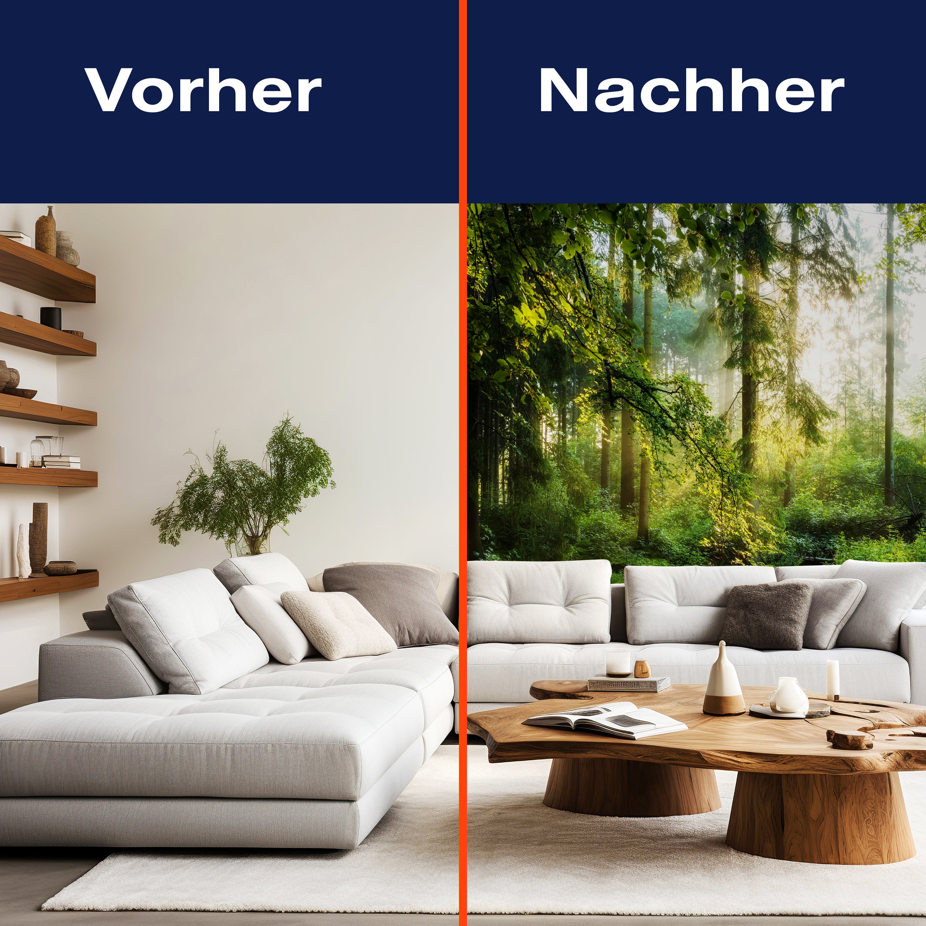 Fototapete Wald Wiese Bäume M5673 - Bild 9 Fototapete Wald Wiese Bäume M5673 - Bild 9