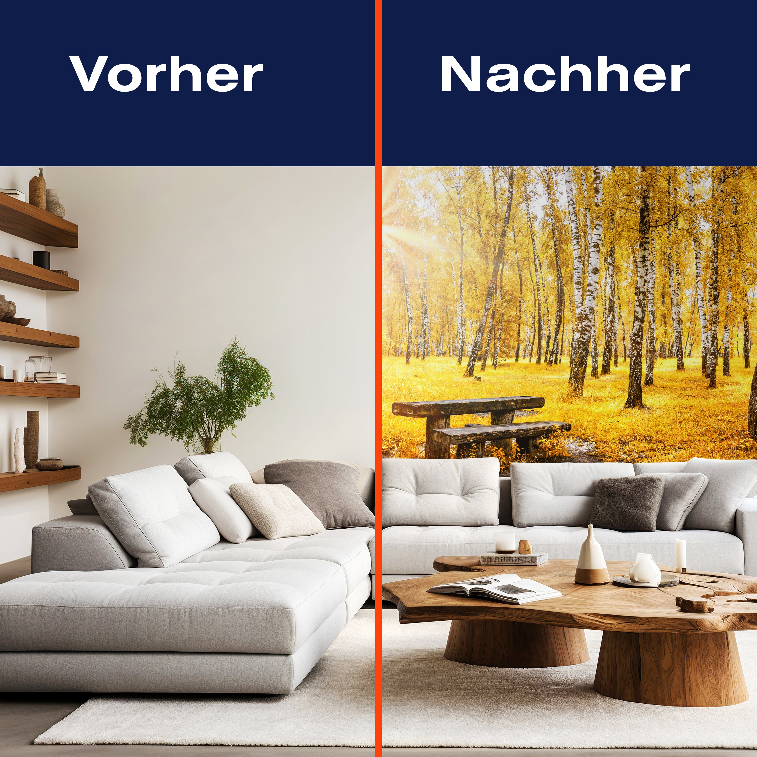 Fototapete Herbst Birke Bank M5676 - Bild 9 Fototapete Herbst Birke Bank M5676 - Bild 9