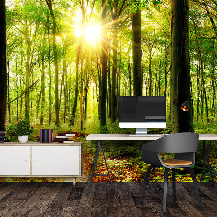 Fototapete Sonne Sonnenstrahlen Weg Wald M5678 - Bild 1 Fototapete Sonne Sonnenstrahlen Weg Wald M5678 - Bild 1