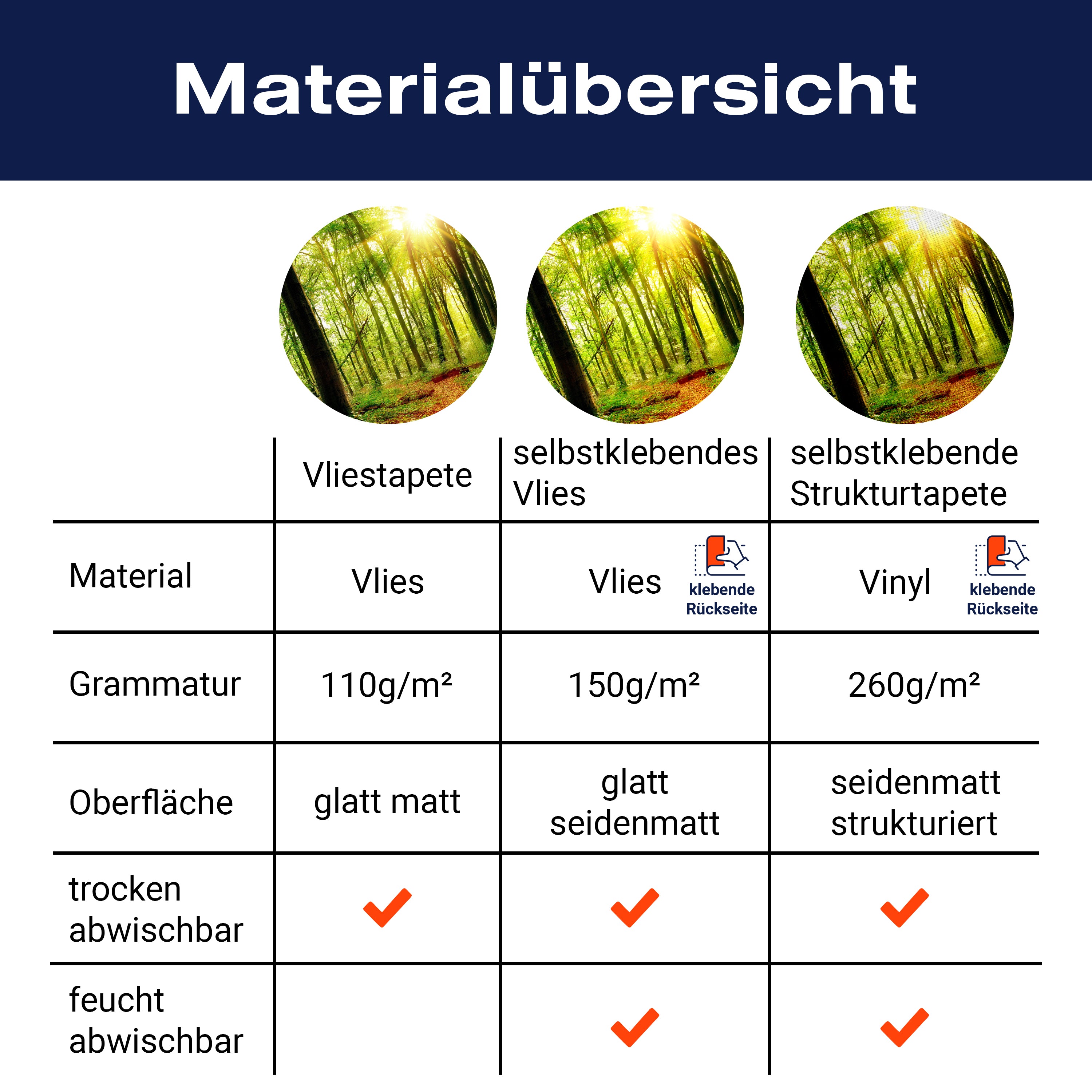 Fototapete Sonne Sonnenstrahlen Weg Wald M5678 - Bild 8 Fototapete Sonne Sonnenstrahlen Weg Wald M5678 - Bild 8