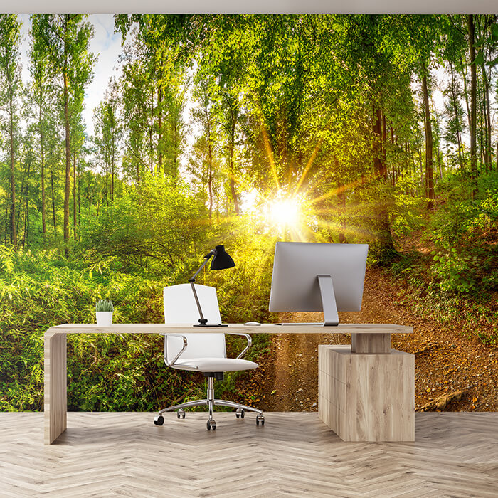 Fototapete Sonne Wald Bäume Weg M5682 - Bild 1 Fototapete Sonne Wald Bäume Weg M5682 - Bild 1