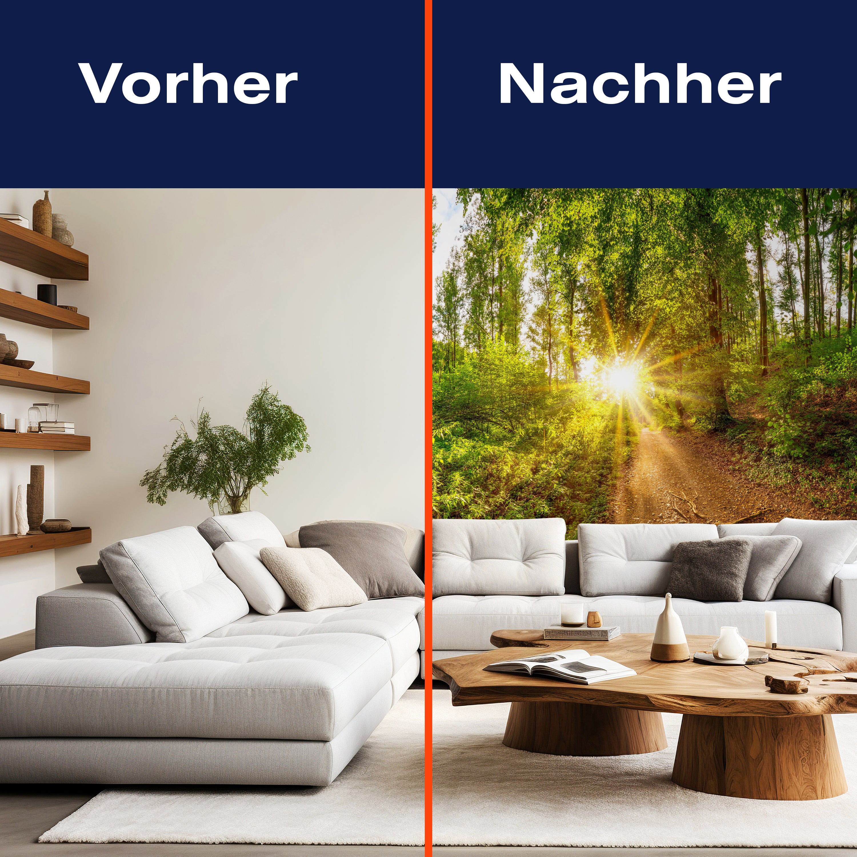 Fototapete Sonne Wald Bäume Weg M5682 - Bild 9 Fototapete Sonne Wald Bäume Weg M5682 - Bild 9