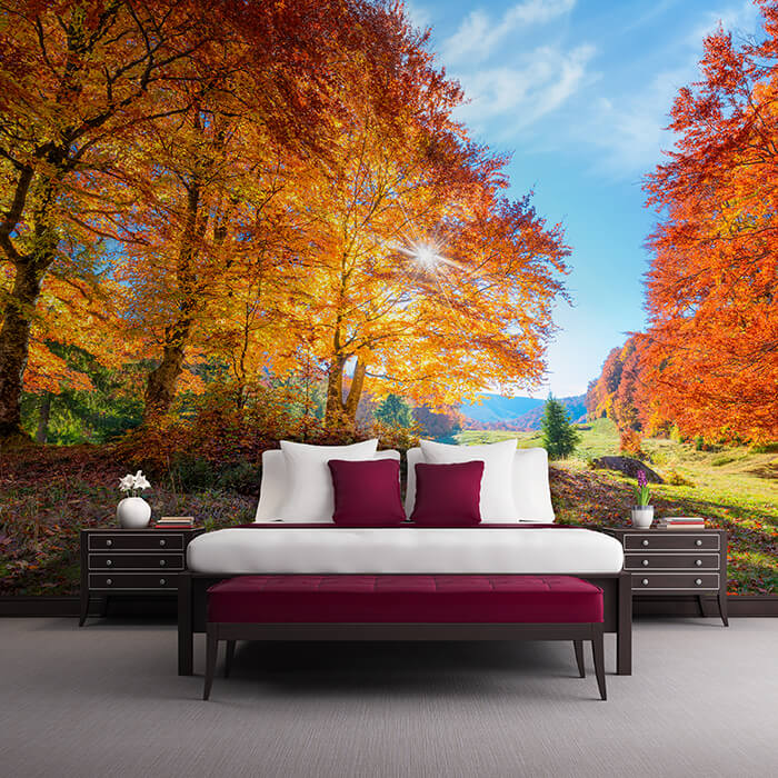 Fototapete Herbst Lichtung Bäume M5686 - Bild 1 Fototapete Herbst Lichtung Bäume M5686 - Bild 1