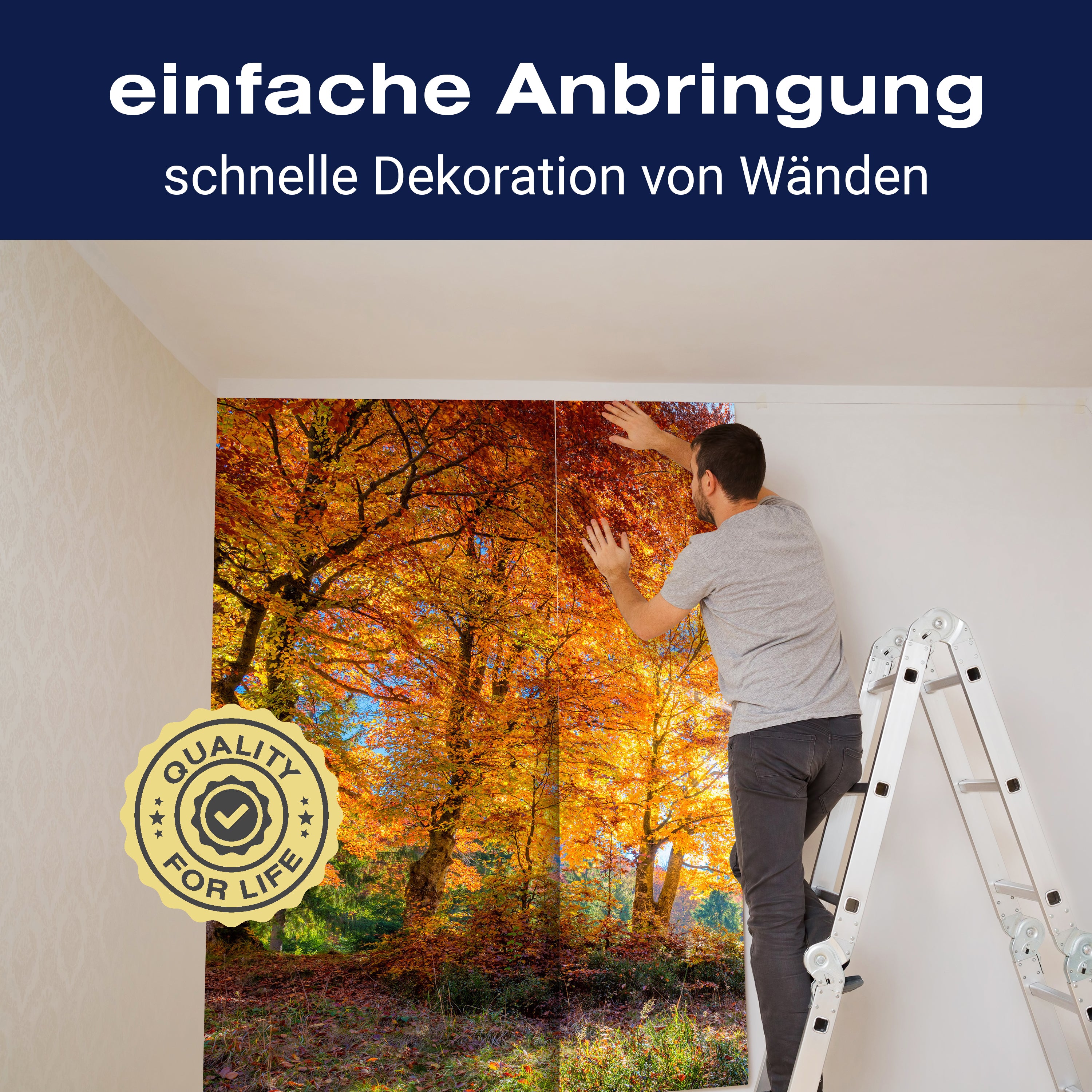 Fototapete Herbst Lichtung Bäume M5686 - Bild 3 Fototapete Herbst Lichtung Bäume M5686 - Bild 3