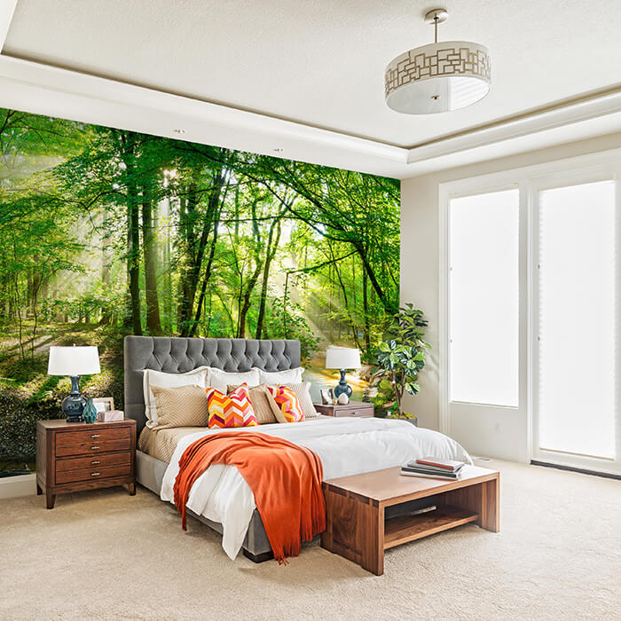 Fototapete Wald mit Bach bei Sonnenschein M5750 - Bild 1 Fototapete Wald mit Bach bei Sonnenschein M5750 - Bild 1