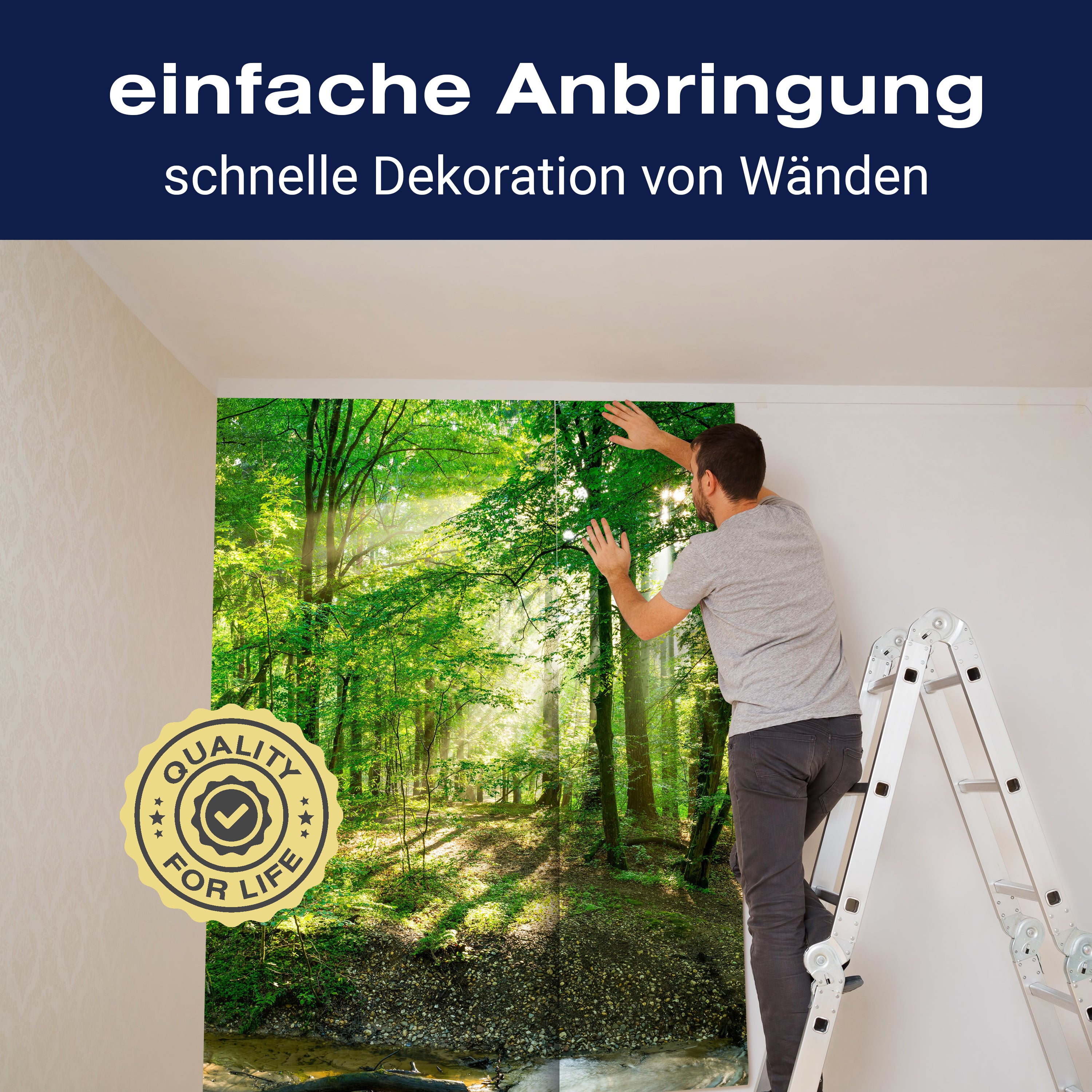 Fototapete Wald mit Bach bei Sonnenschein M5750 - Bild 3 Fototapete Wald mit Bach bei Sonnenschein M5750 - Bild 3