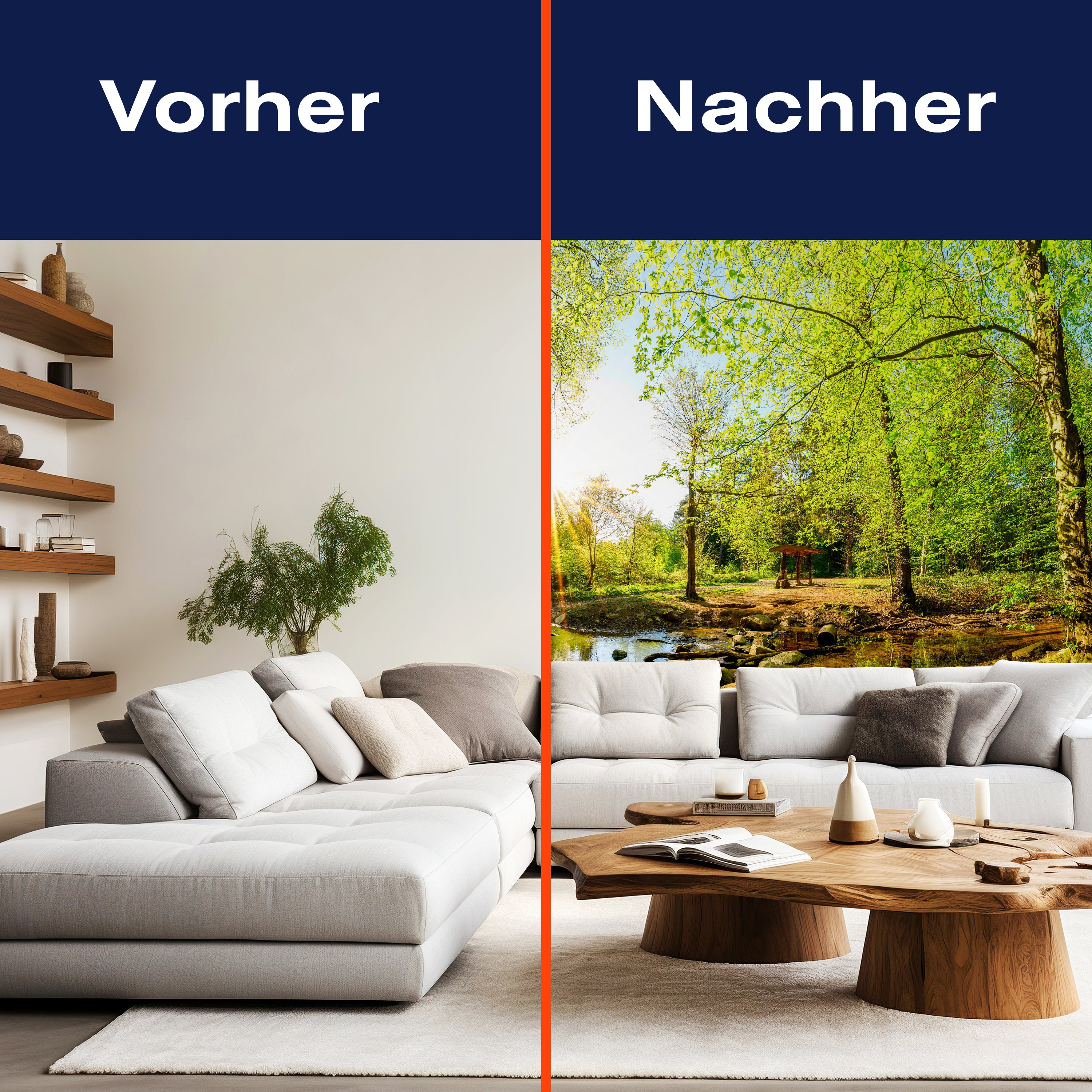 Fototapete Wald im Sommer mit Bach und Sonne M5751 - Bild 9 Fototapete Wald im Sommer mit Bach und Sonne M5751 - Bild 9