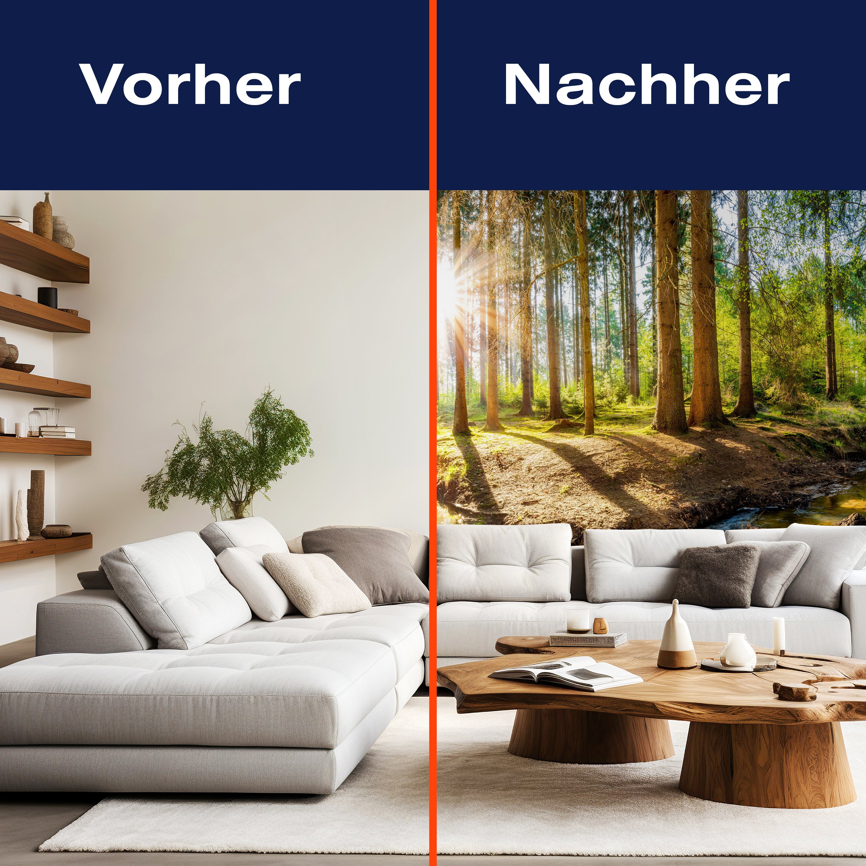 Fototapete Sonnenschein im Wald mit Bach M5752 - Bild 9 Fototapete Sonnenschein im Wald mit Bach M5752 - Bild 9