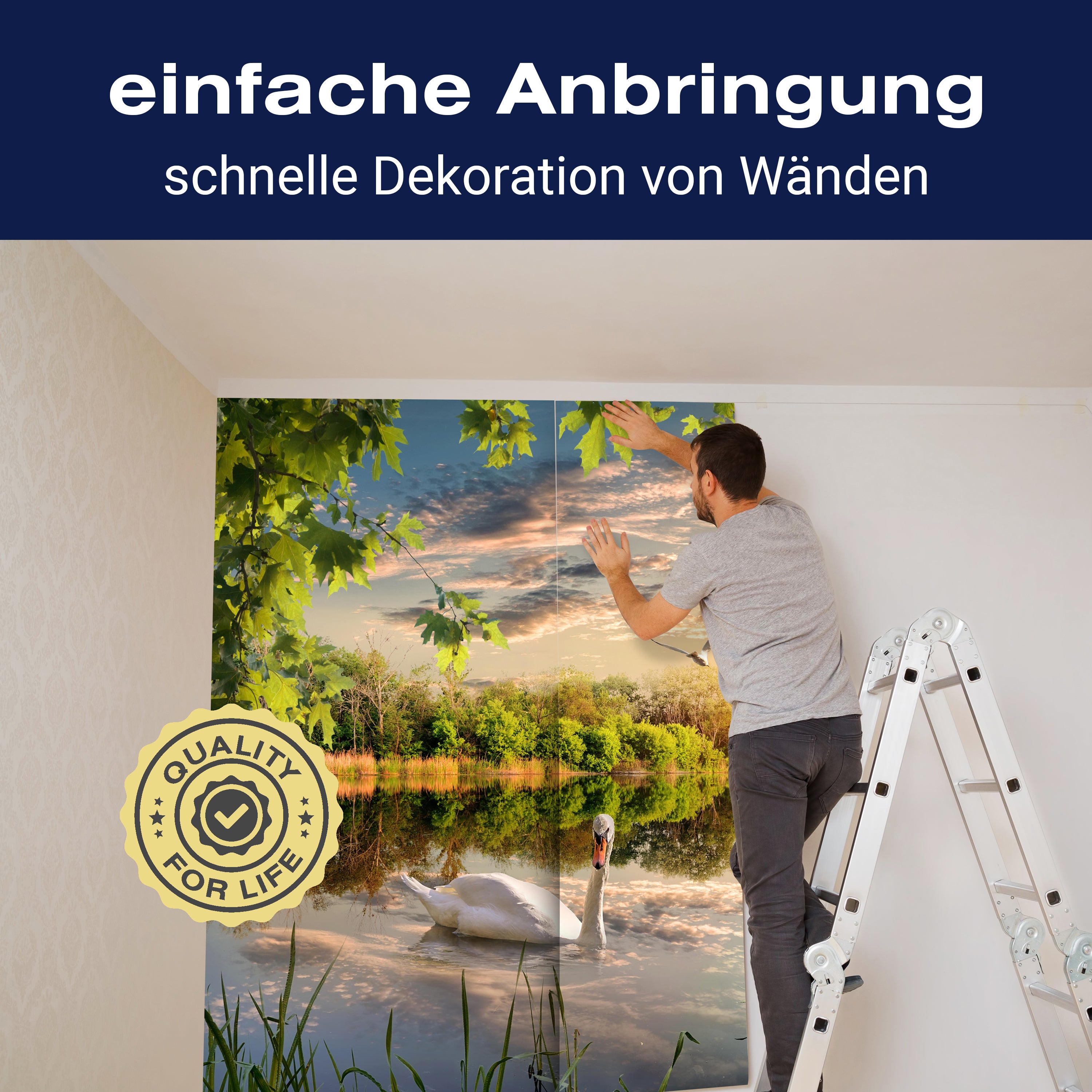 Fototapete Schwan im Fluss M5756 - Bild 3 Fototapete Schwan im Fluss M5756 - Bild 3