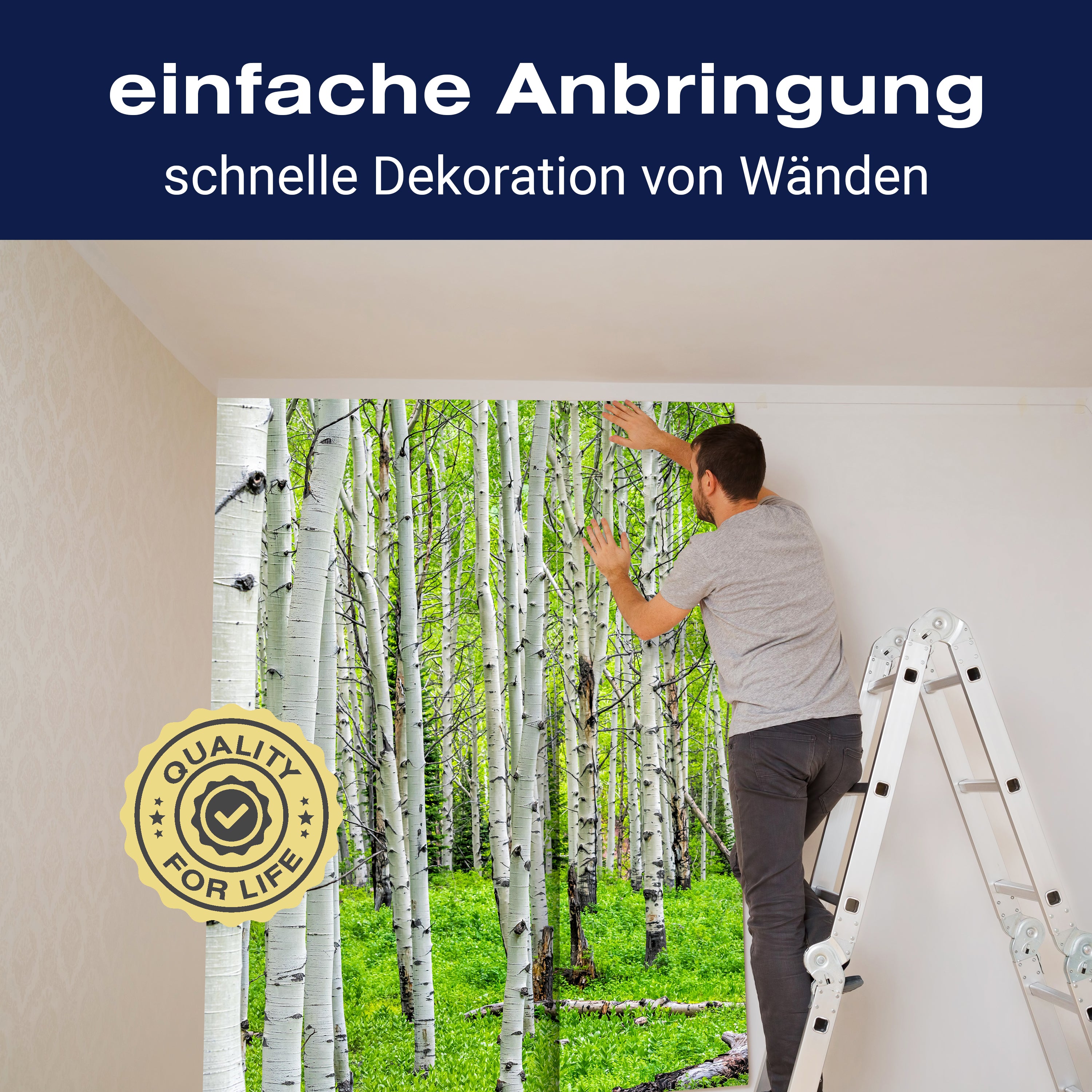 Fototapete Birkenwald Dicht Sträucher M5832 - Bild 3 Fototapete Birkenwald Dicht Sträucher M5832 - Bild 3