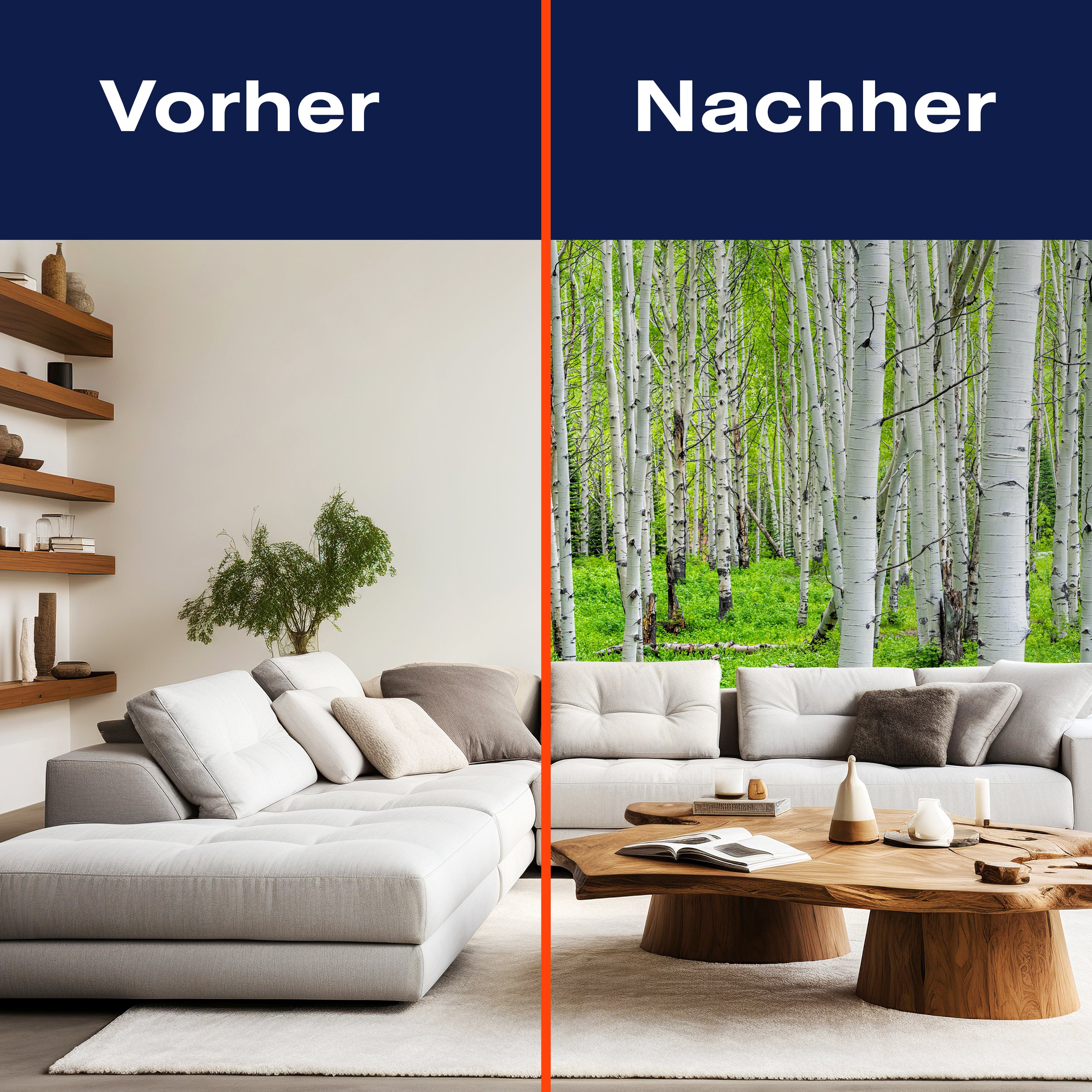 Fototapete Birkenwald Dicht Sträucher M5832 - Bild 9 Fototapete Birkenwald Dicht Sträucher M5832 - Bild 9