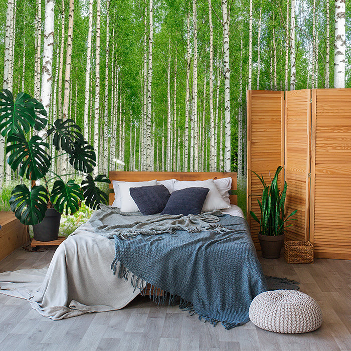 Fototapete Birkenwald Blumen Wiese M5840 - Bild 1 Fototapete Birkenwald Blumen Wiese M5840 - Bild 1