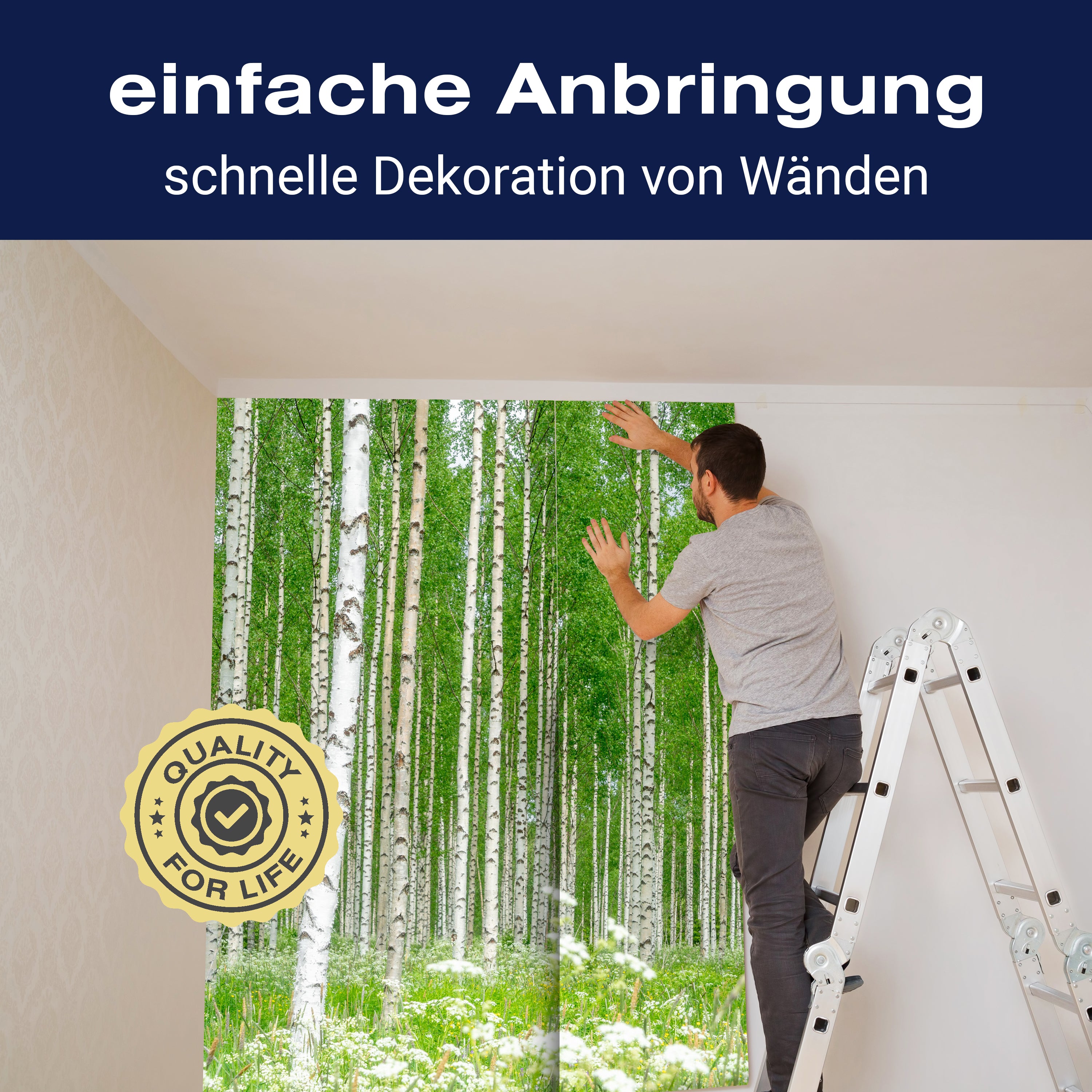 Fototapete Birkenwald Blumen Wiese M5840 - Bild 3 Fototapete Birkenwald Blumen Wiese M5840 - Bild 3