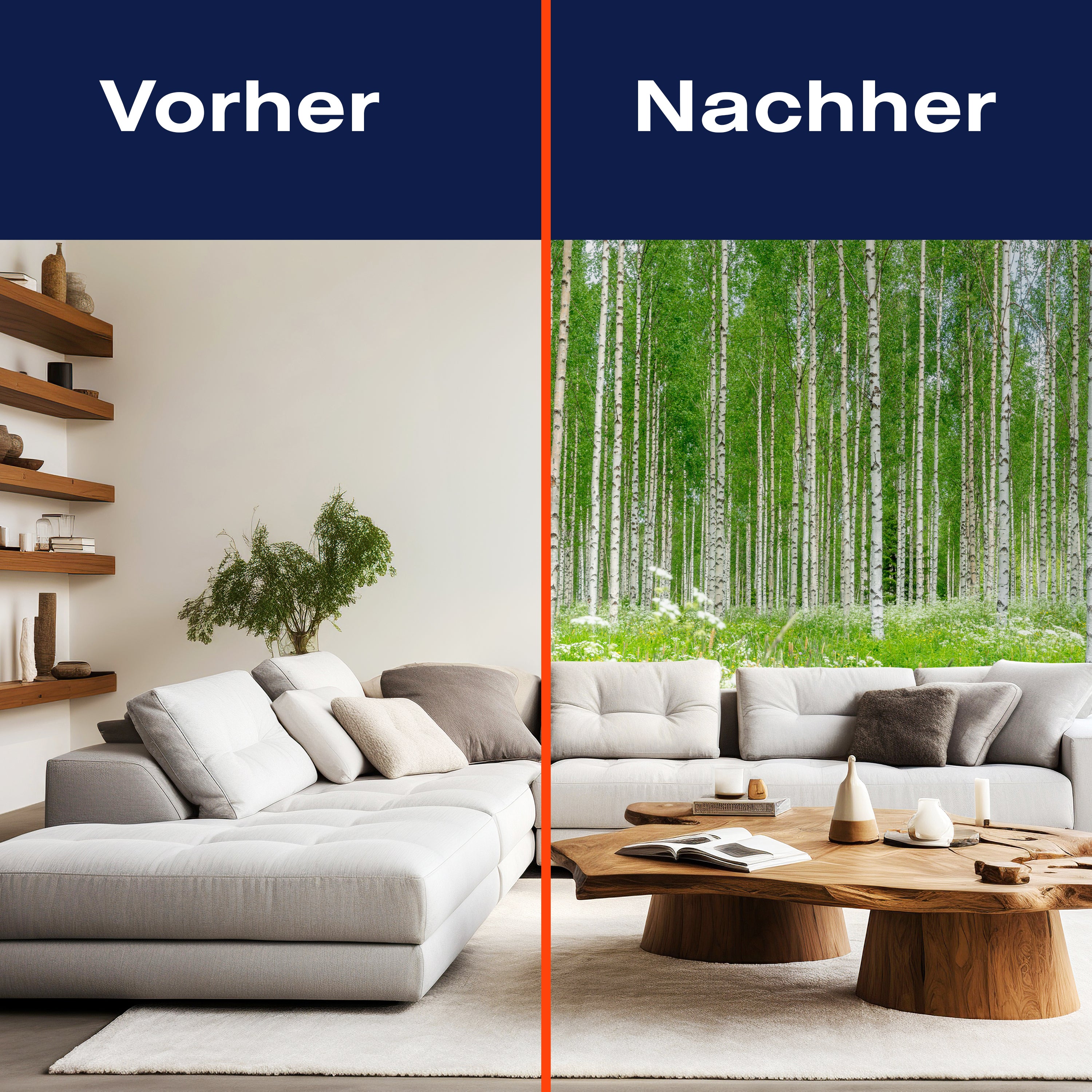 Fototapete Birkenwald Blumen Wiese M5840 - Bild 9 Fototapete Birkenwald Blumen Wiese M5840 - Bild 9