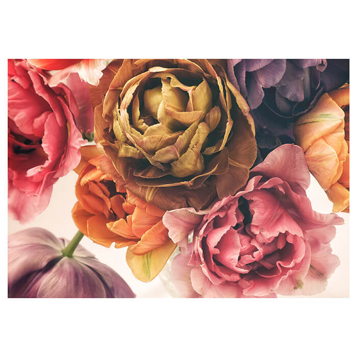 Fototapete Rosen Vintage Natur M5865 - Bild 2 Fototapete Rosen Vintage Natur M5865 - Bild 2