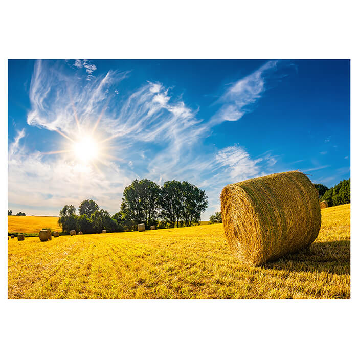 Fototapete Feld Strohballen Natur M6175 - Bild 2 Fototapete Feld Strohballen Natur M6175 - Bild 2