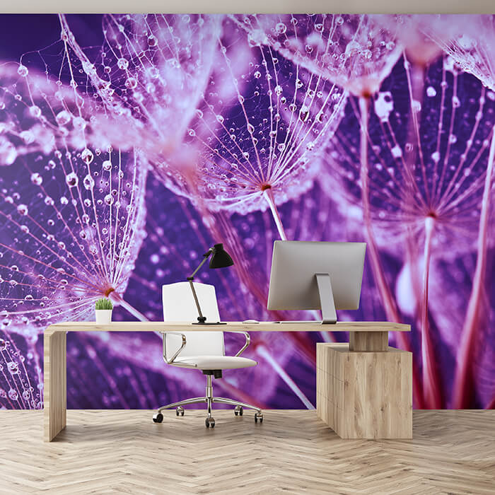 Fototapete Pusteblume Violett 1 M6325 - Bild 1 Fototapete Pusteblume Violett 1 M6325 - Bild 1