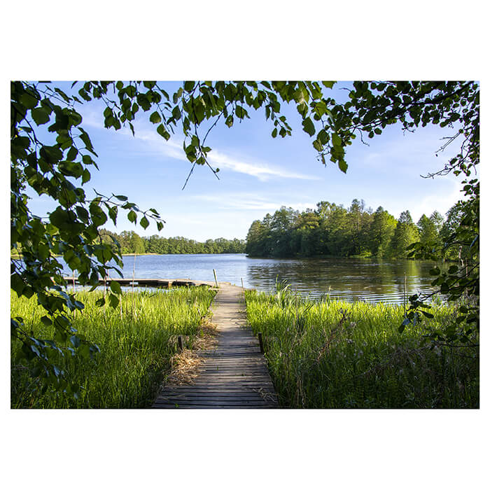 Fototapete See Weg Wald M6472 - Bild 2 Fototapete See Weg Wald M6472 - Bild 2