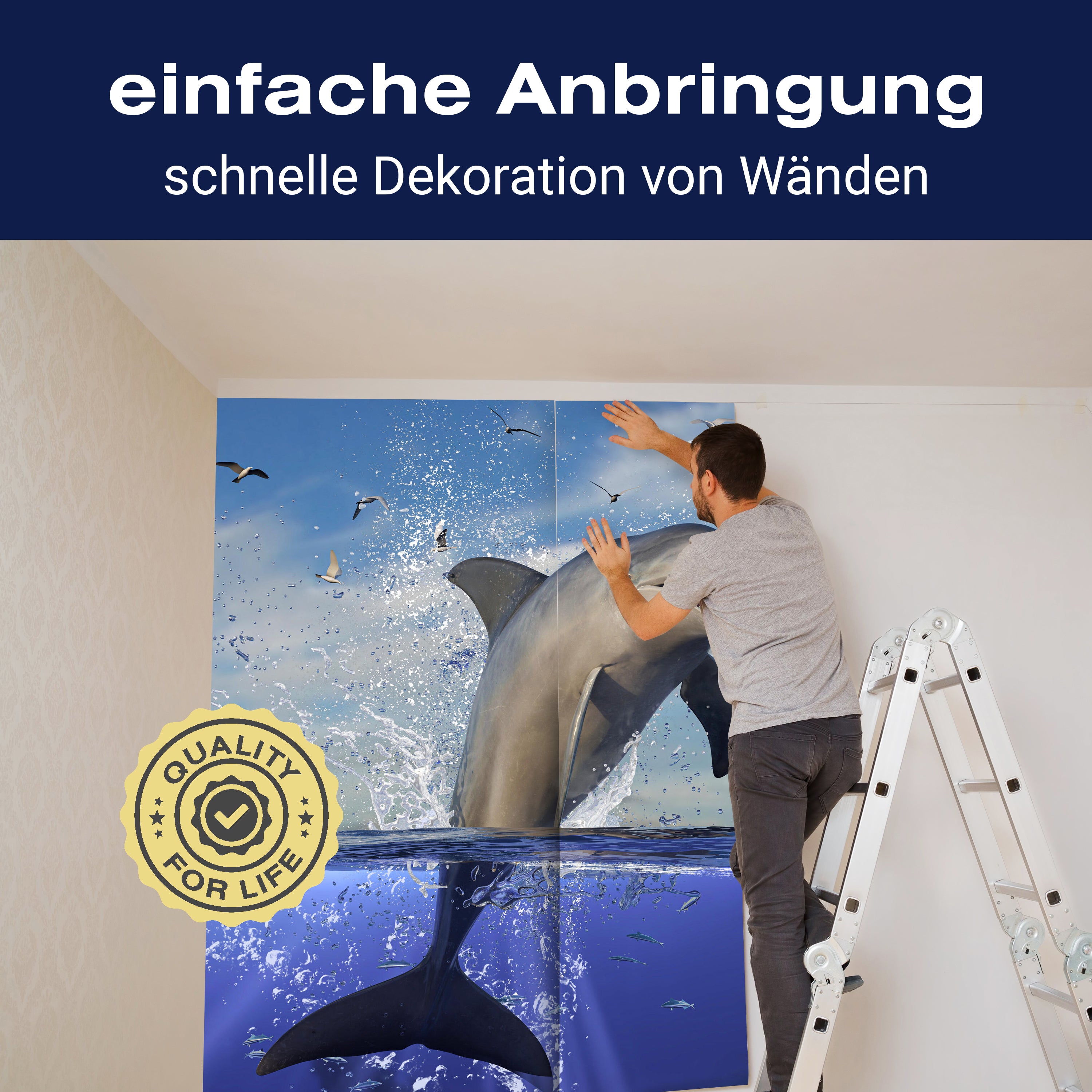 Fototapete springender Delfin Wasser M6474 - Bild 3 Fototapete springender Delfin Wasser M6474 - Bild 3