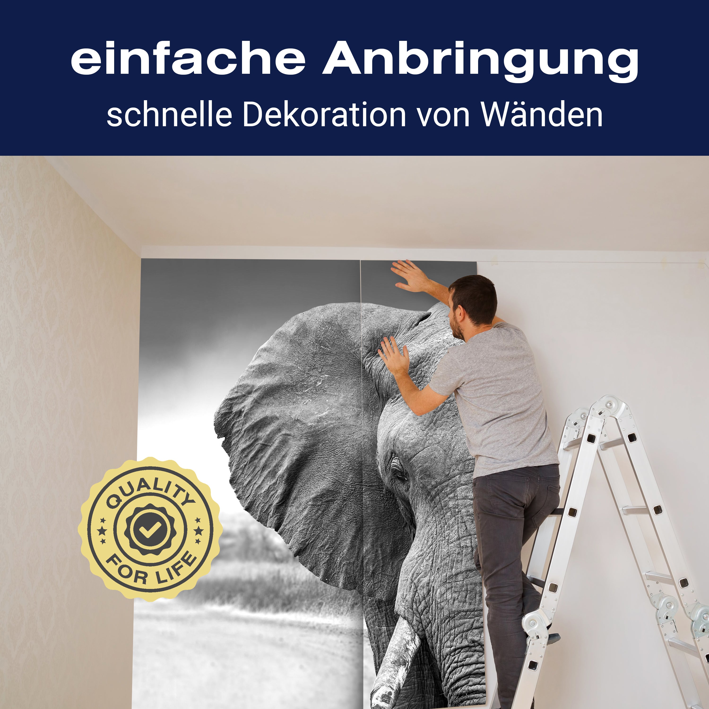 Fototapete Elefant schwarz weiß M6541 - Bild 3 Fototapete Elefant schwarz weiß M6541 - Bild 3